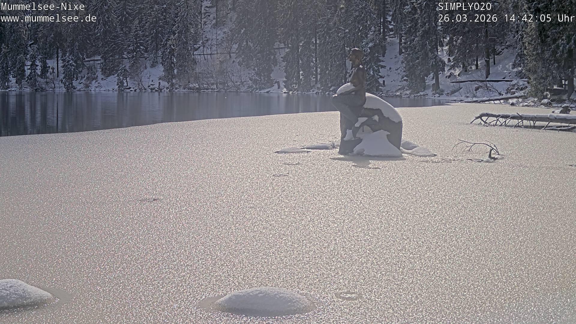 Archiv Foto Webcam Ufer Mummelsee