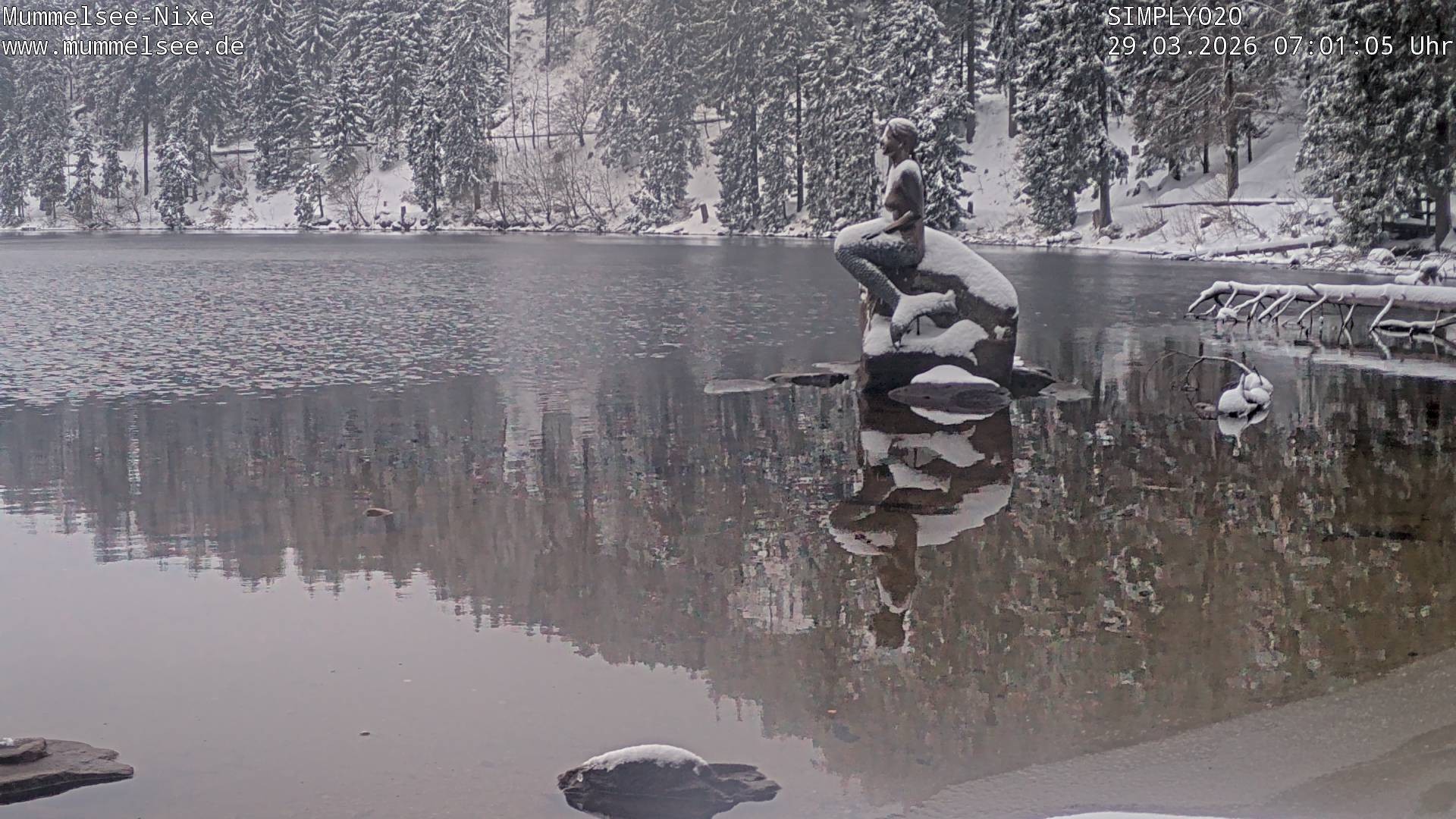 Archiv Foto Webcam Ufer Mummelsee