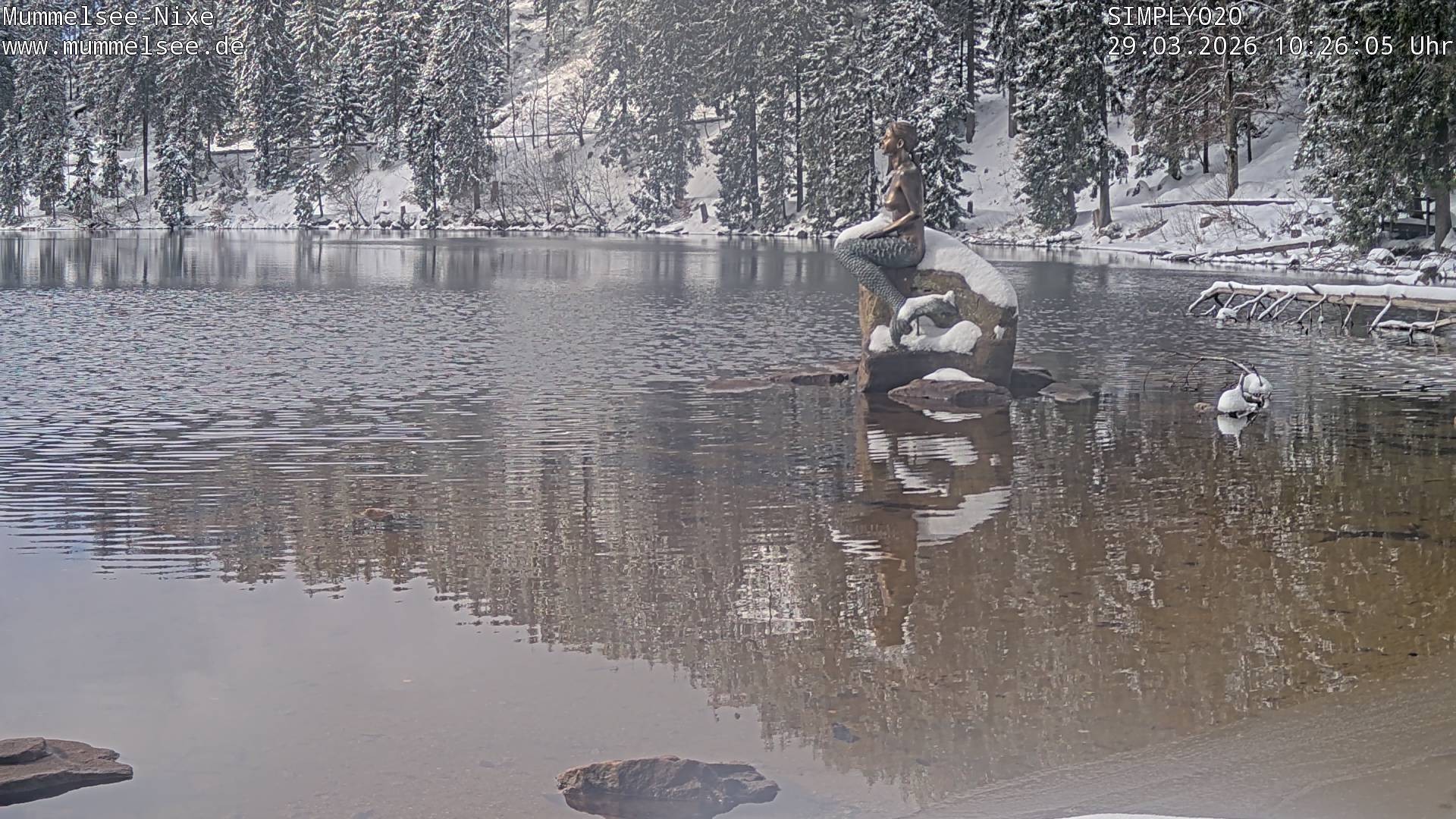 Archiv Foto Webcam Ufer Mummelsee
