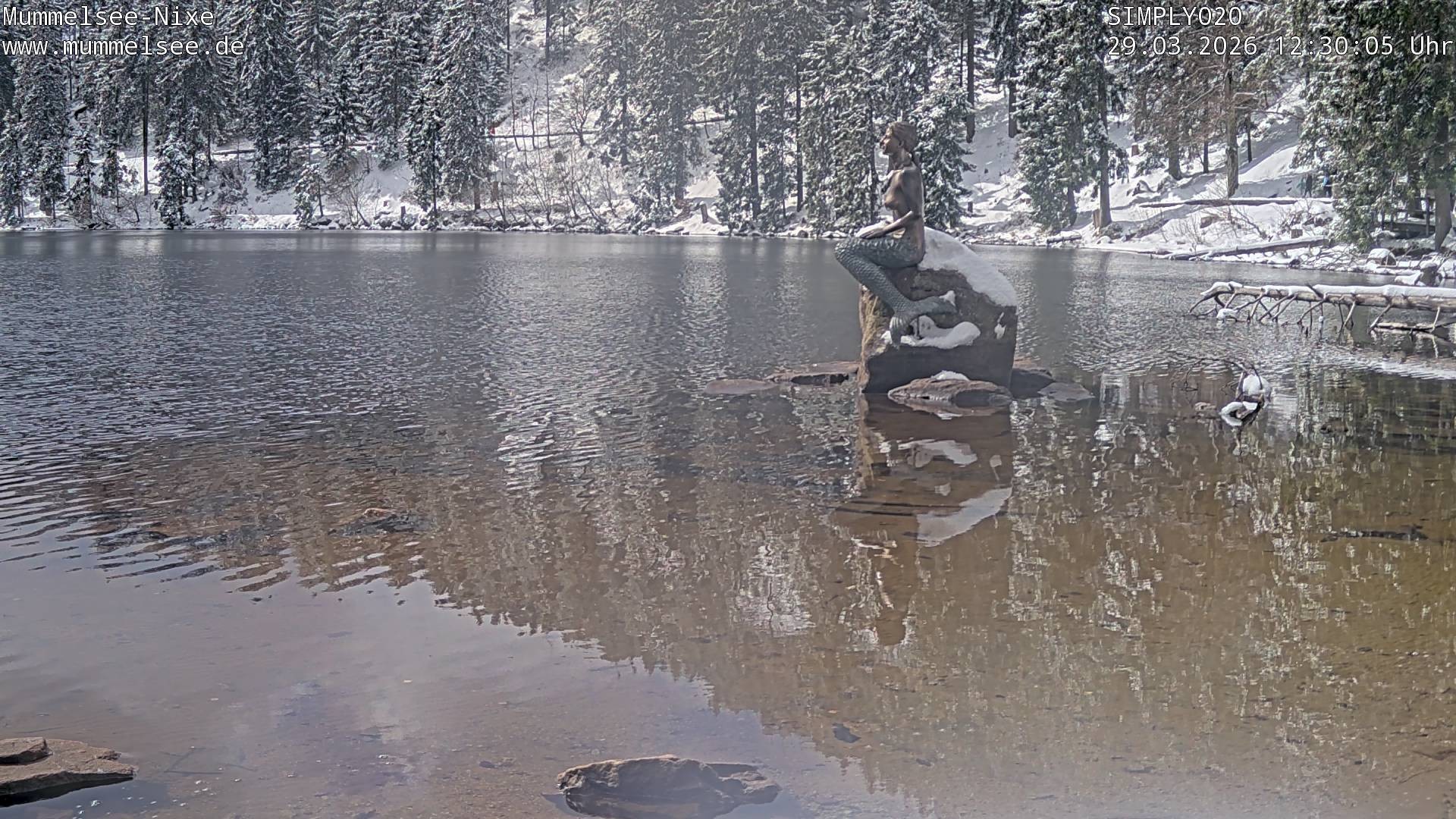 Archiv Foto Webcam Ufer Mummelsee