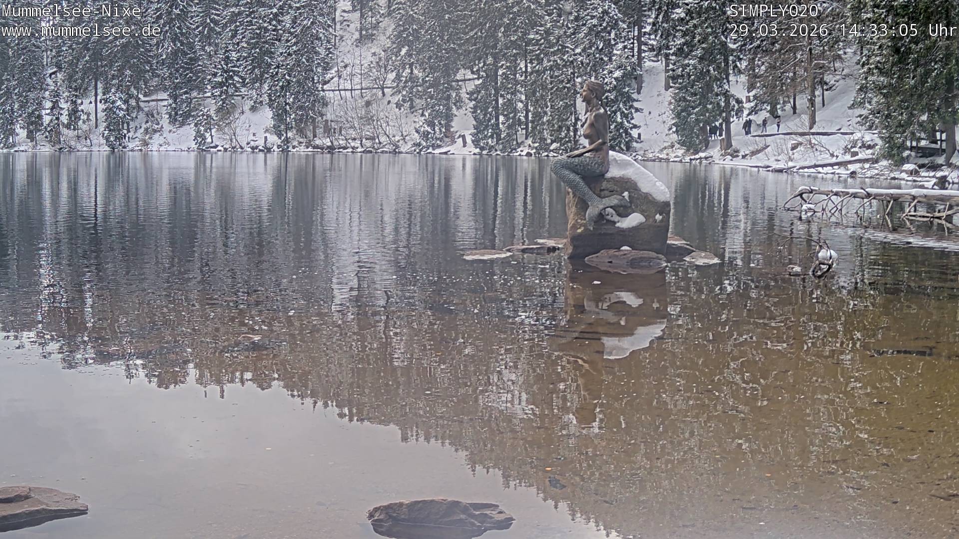 Archiv Foto Webcam Ufer Mummelsee
