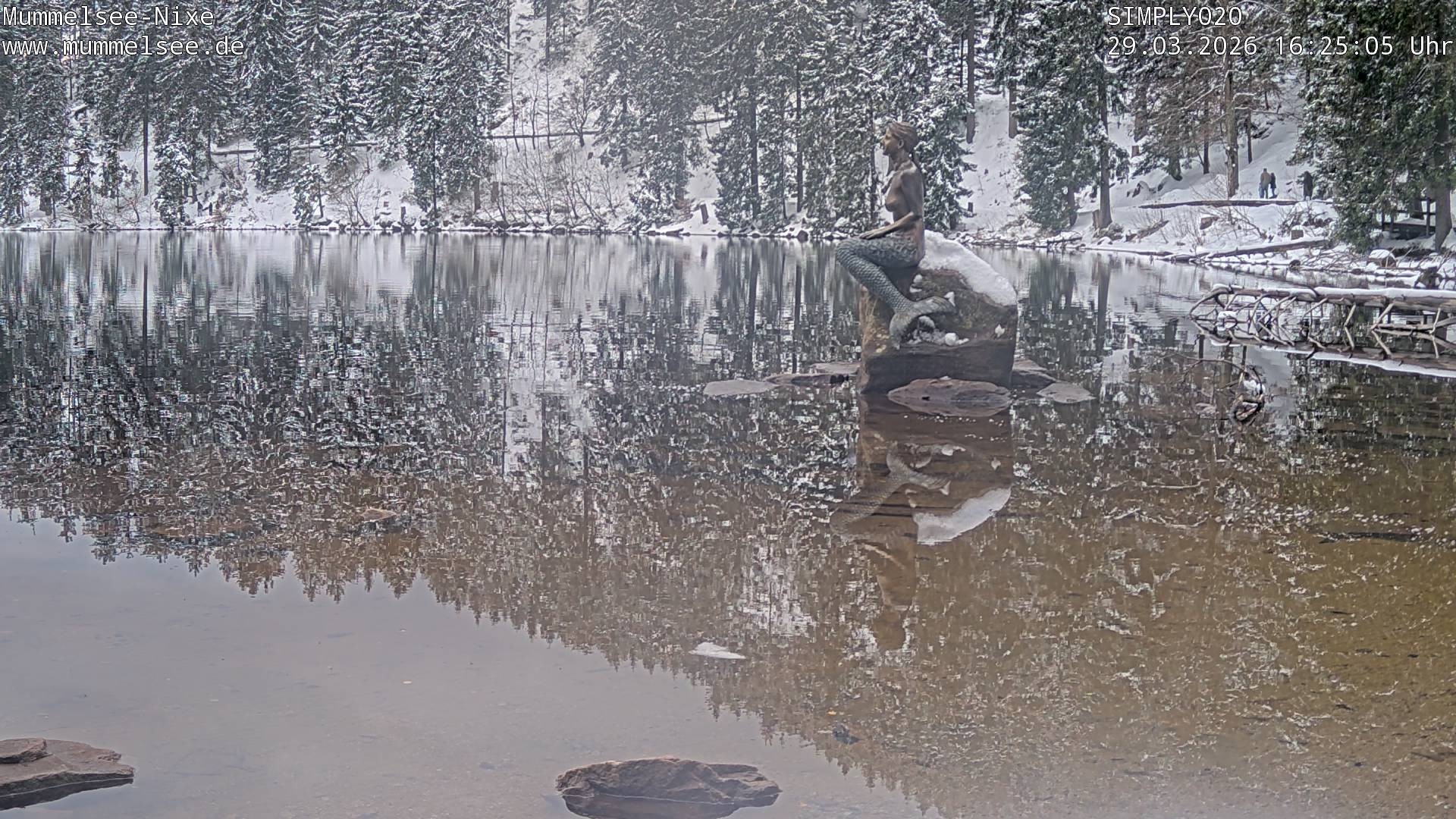 Archiv Foto Webcam Ufer Mummelsee