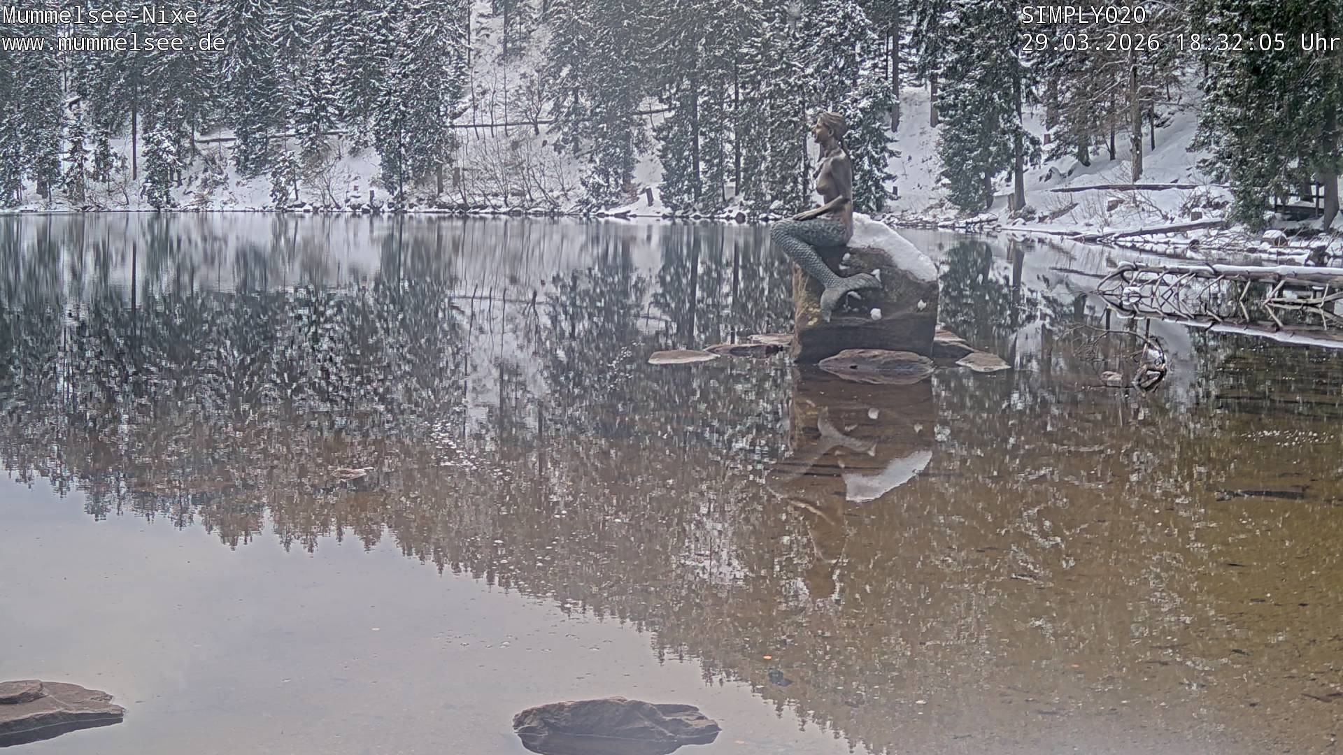 Archiv Foto Webcam Ufer Mummelsee