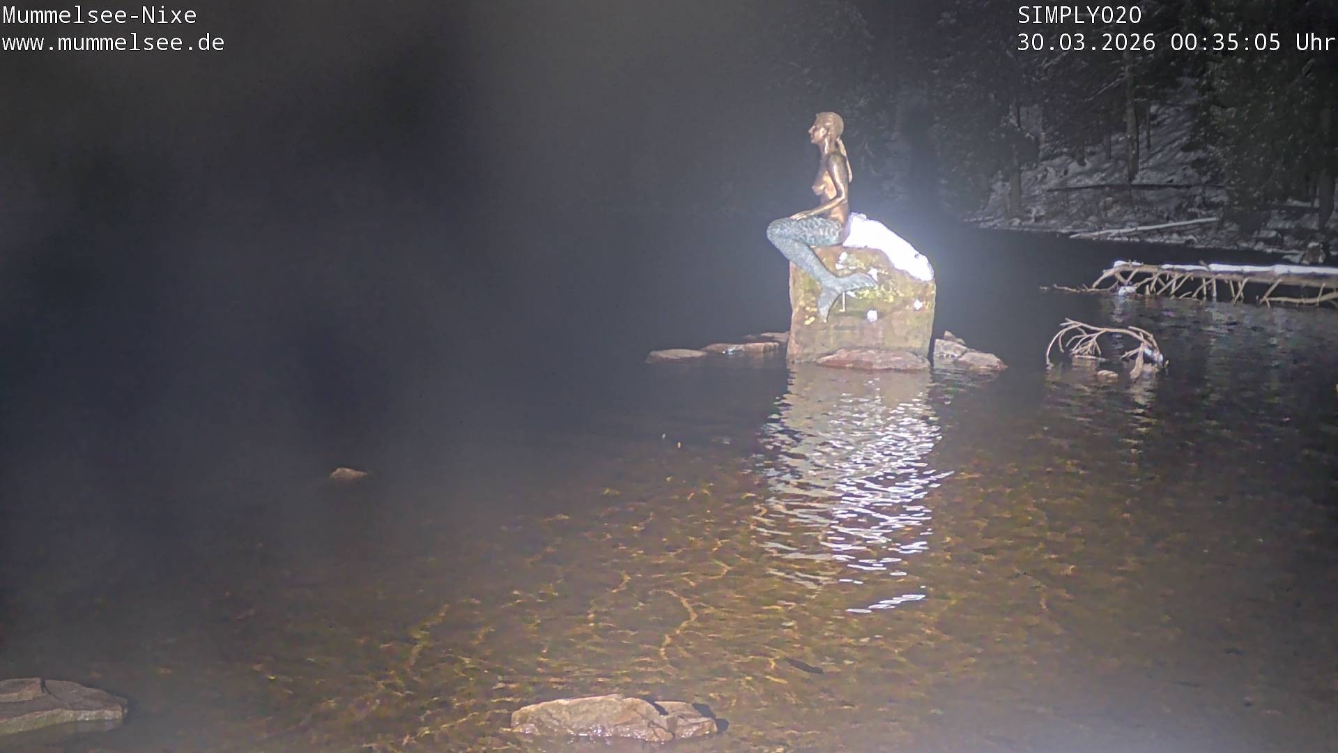 Archiv Foto Webcam Ufer Mummelsee