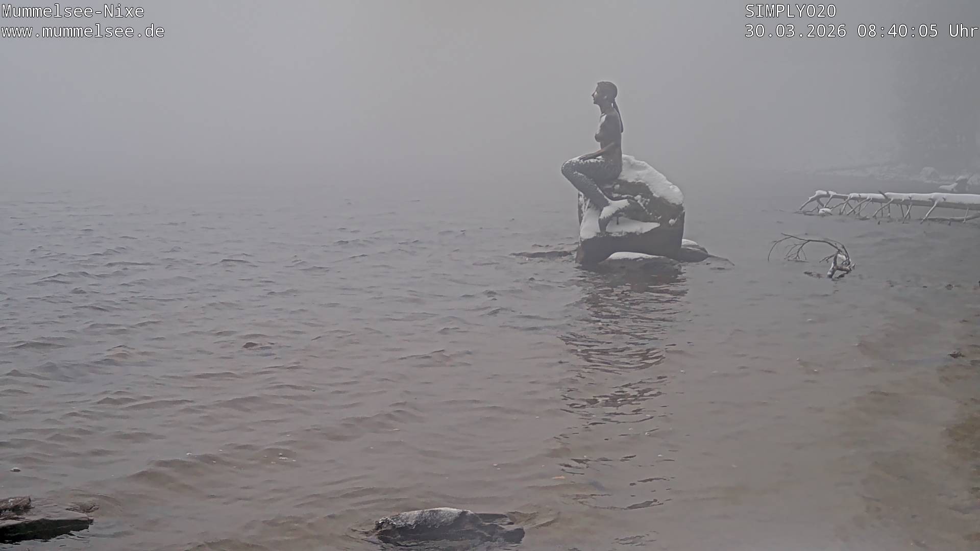 Archiv Foto Webcam Ufer Mummelsee