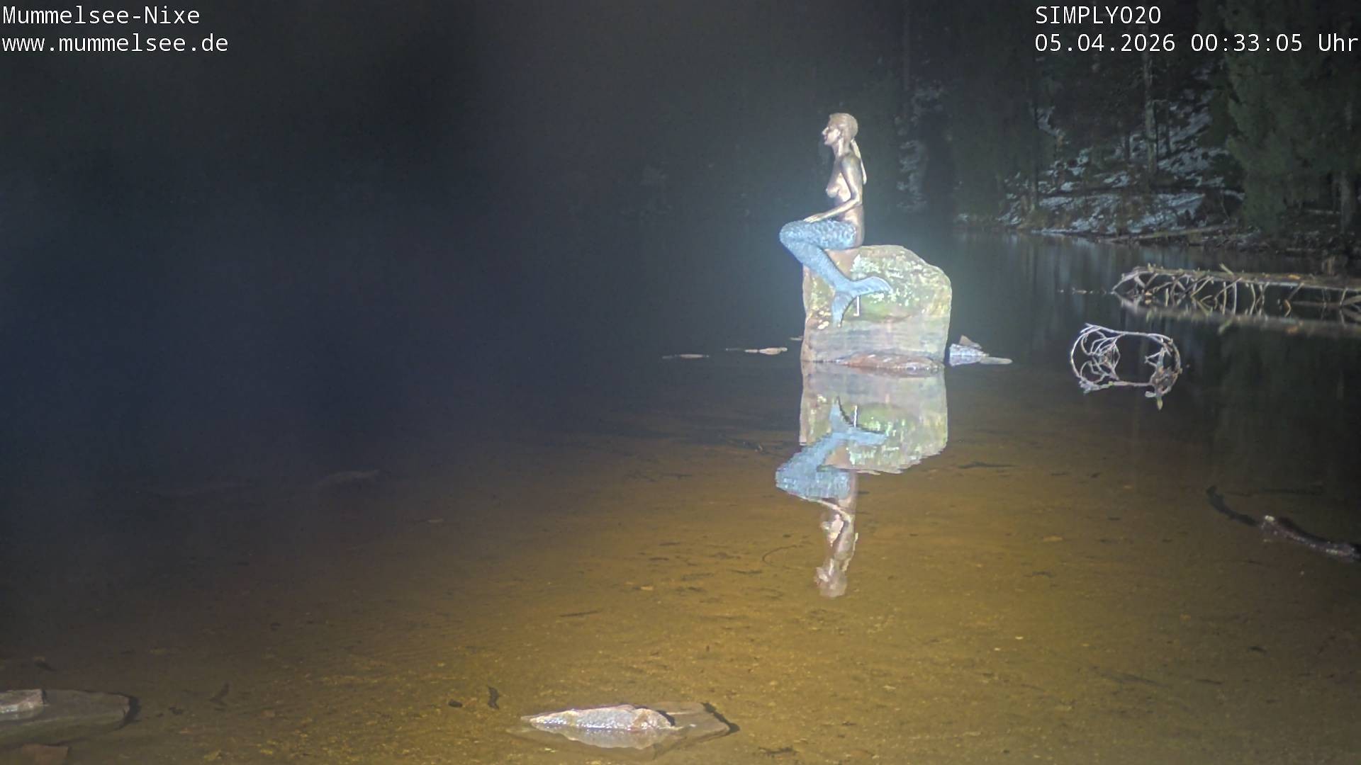 Archived image Webcam Lake Mummelsee - Black Forest