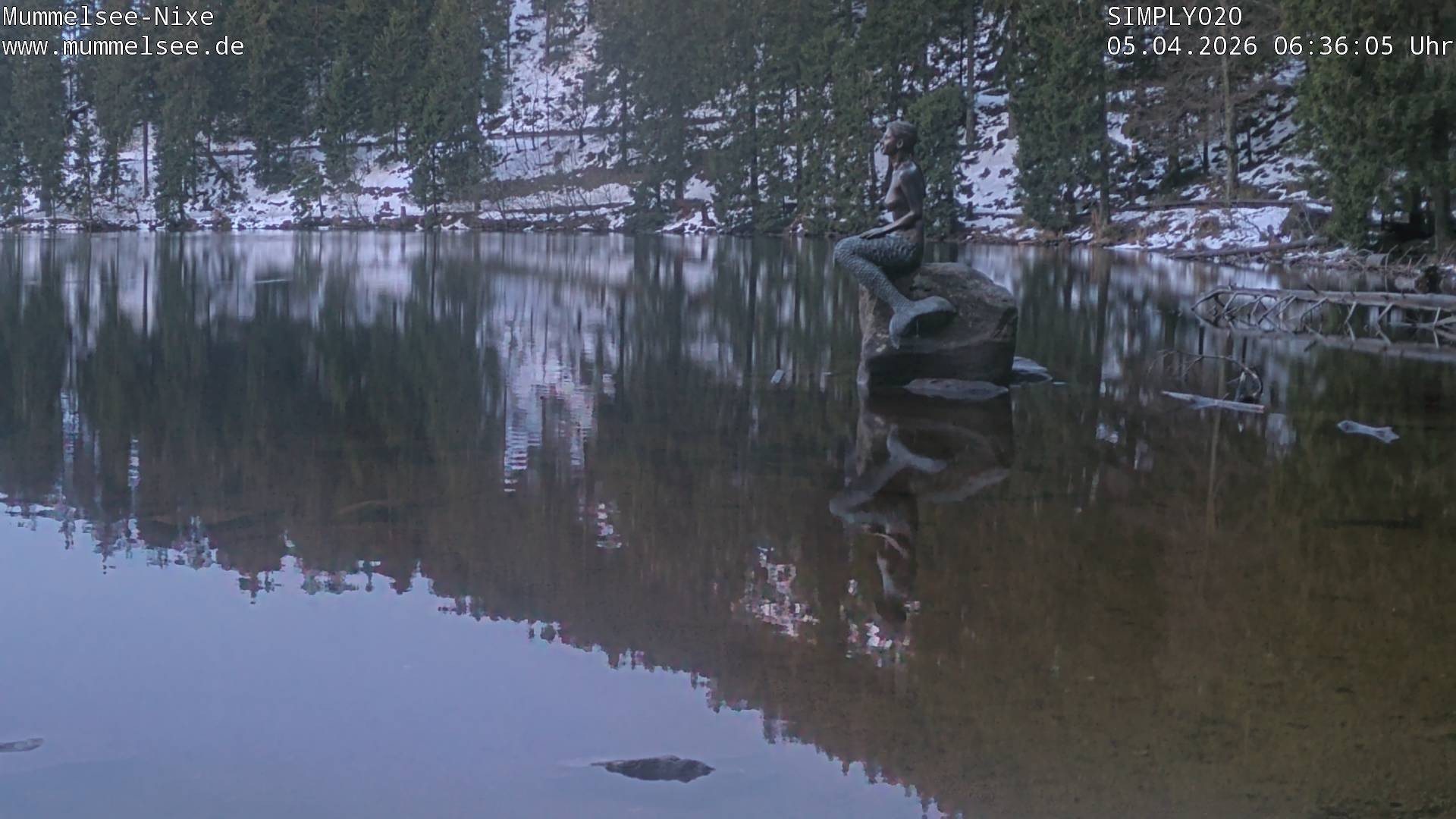 Archived image Webcam Lake Mummelsee - Black Forest