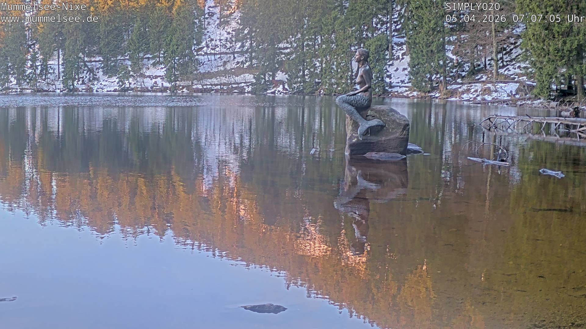 Archived image Webcam Lake Mummelsee - Black Forest