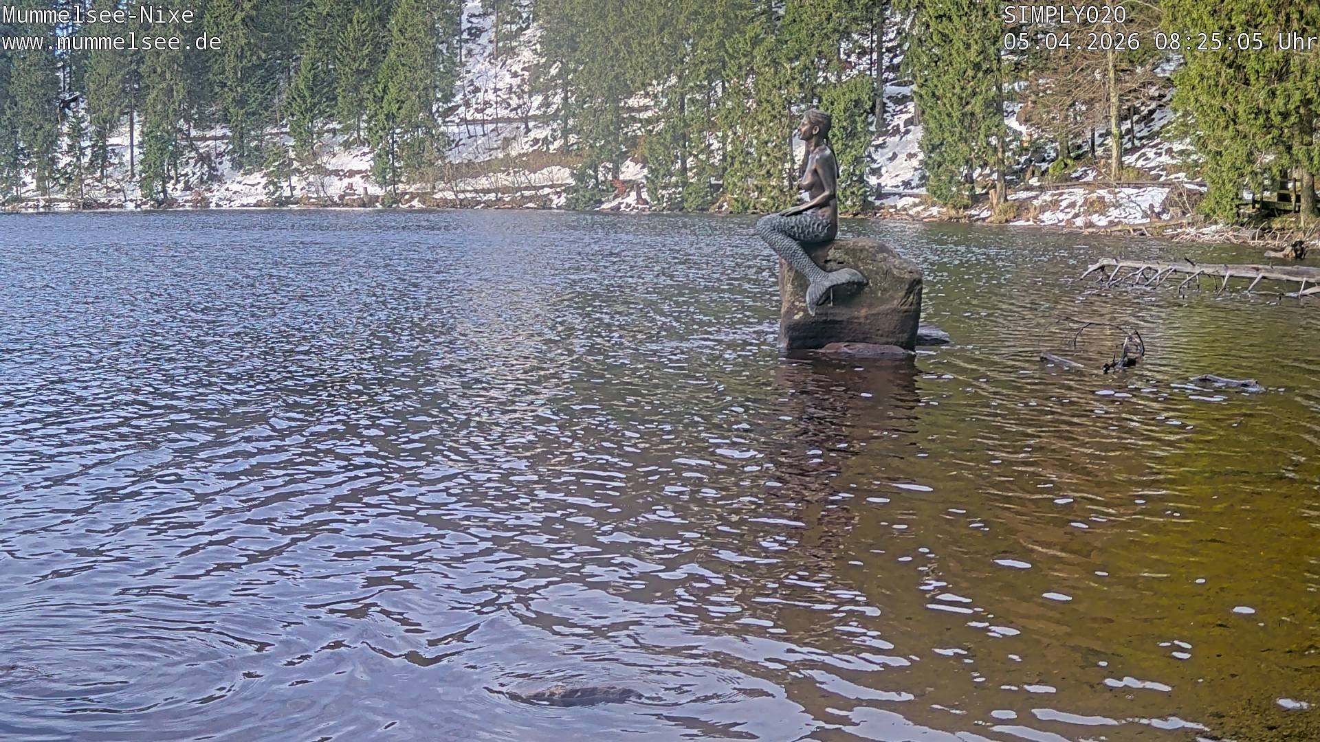 Archived image Webcam Lake Mummelsee - Black Forest