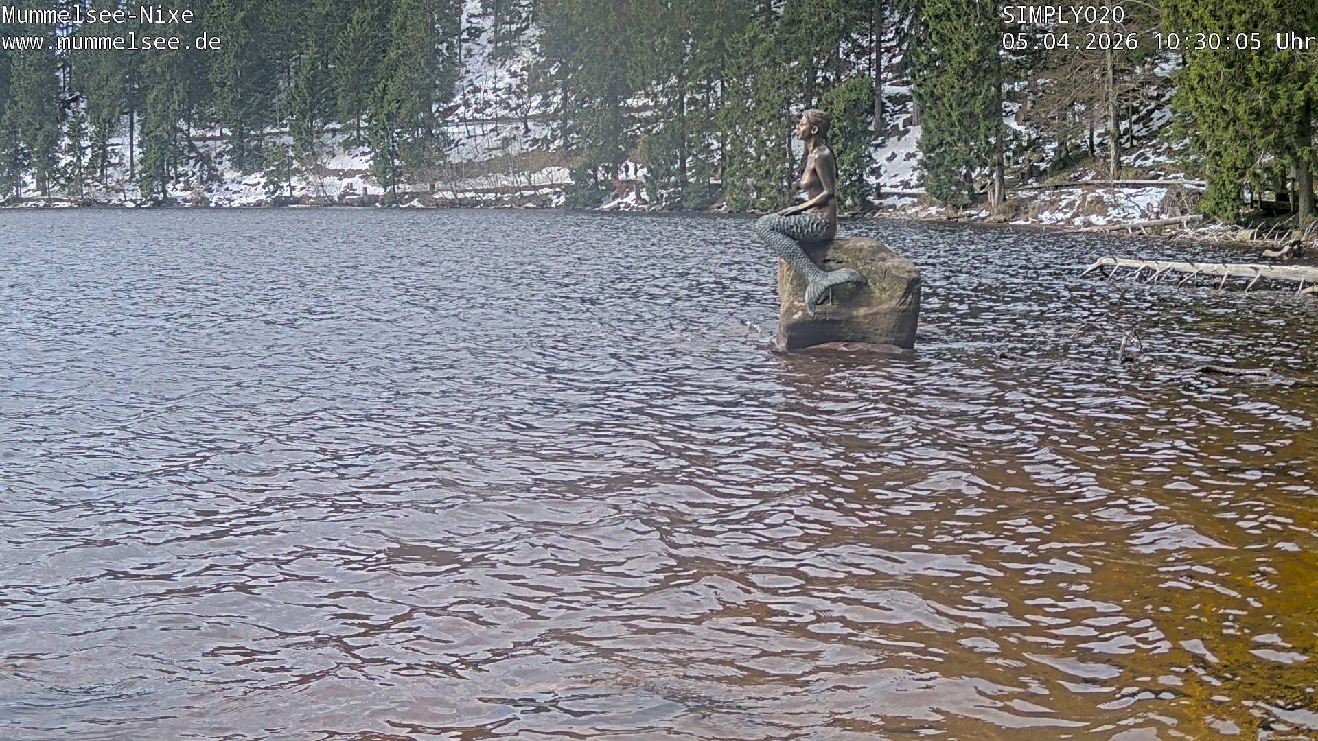 Archived image Webcam Lake Mummelsee - Black Forest