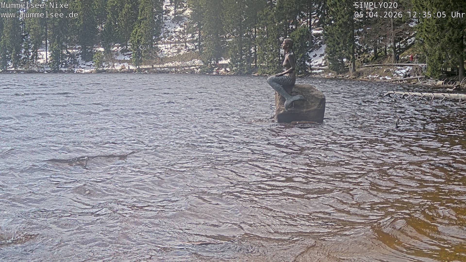 Archived image Webcam Lake Mummelsee - Black Forest