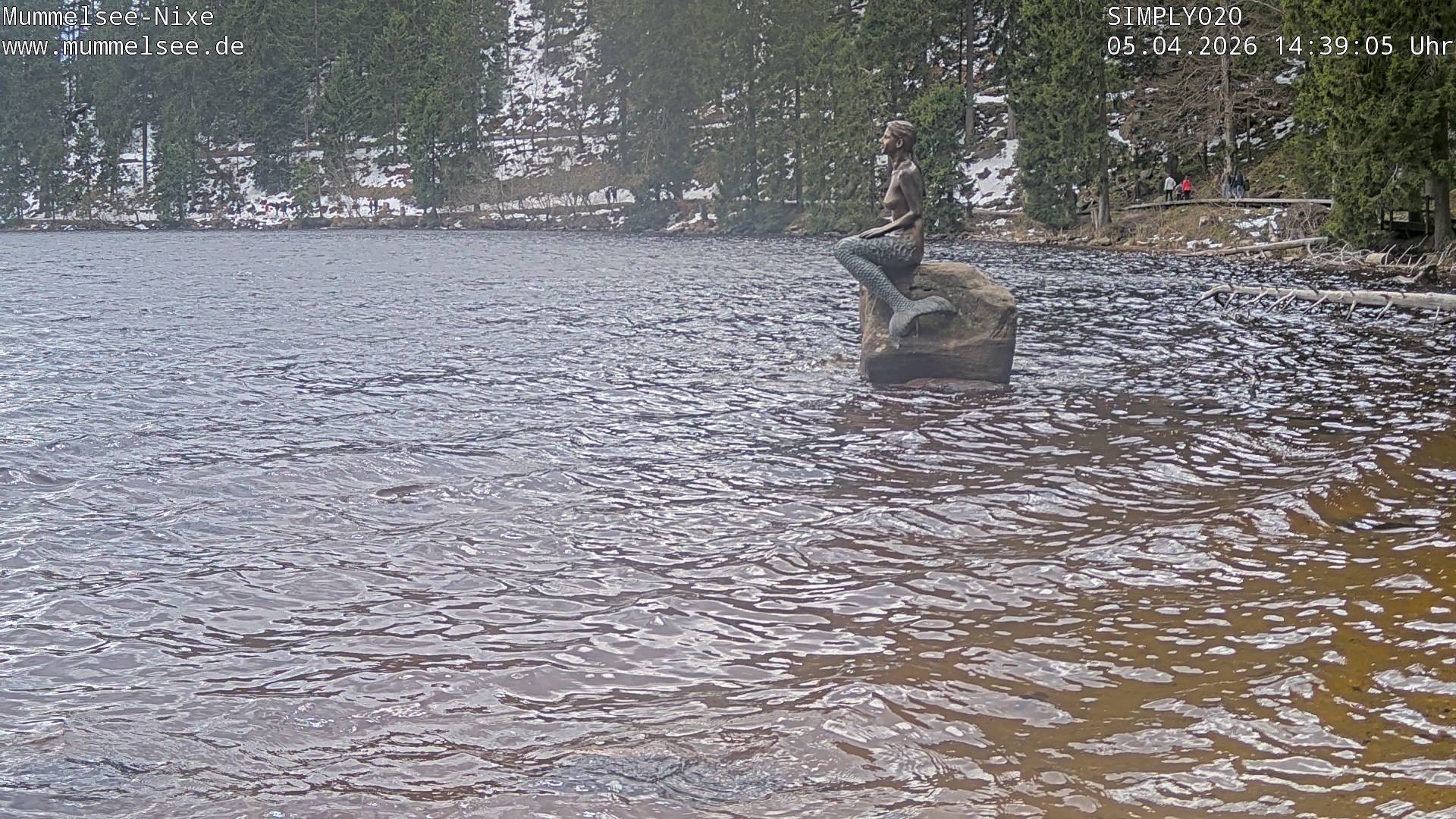 Archived image Webcam Lake Mummelsee - Black Forest