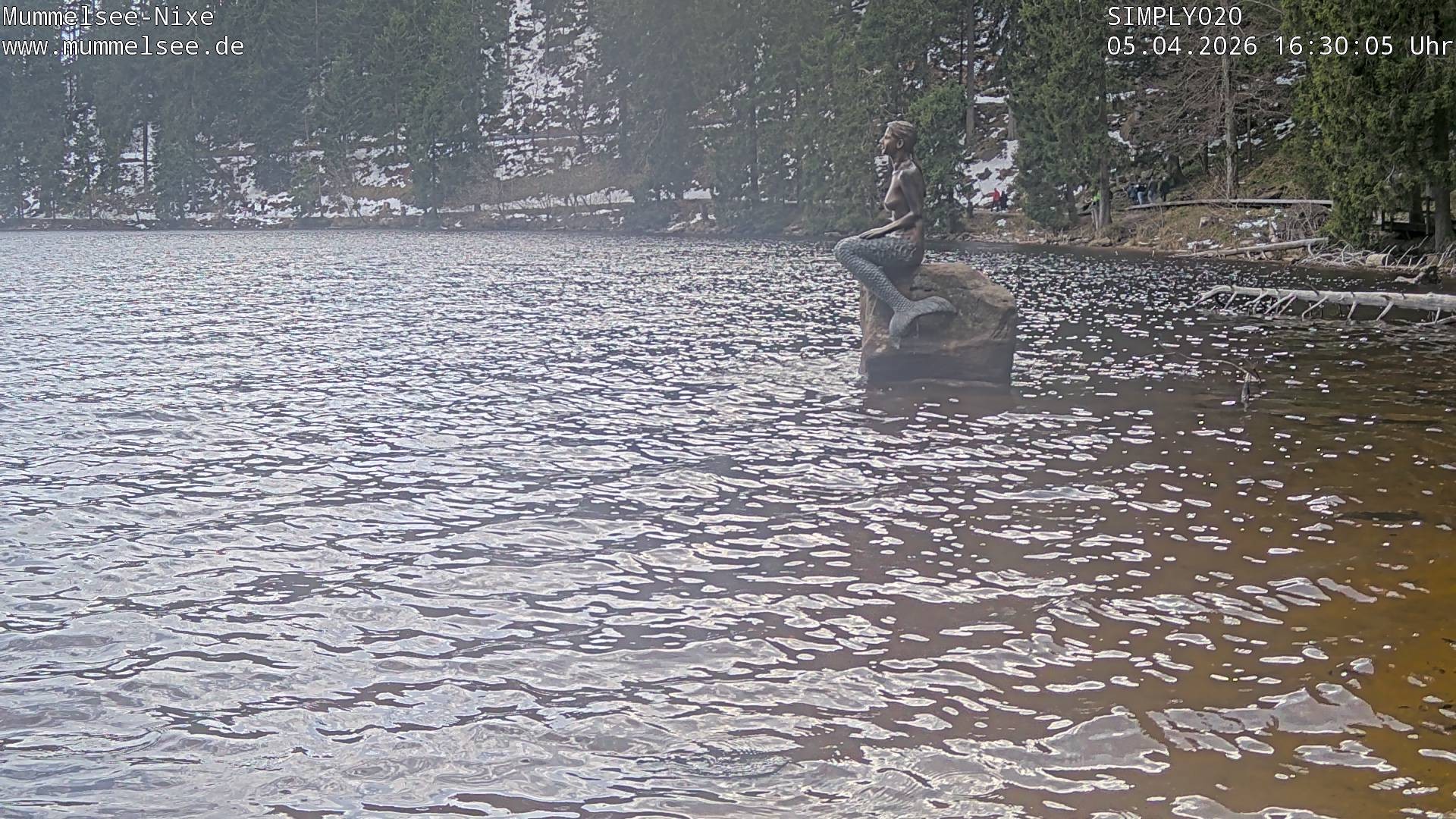 Archived image Webcam Lake Mummelsee - Black Forest