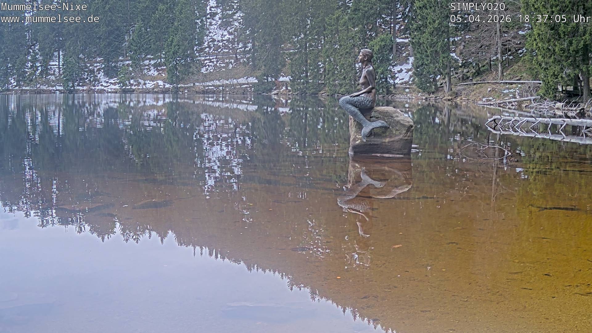 Archived image Webcam Lake Mummelsee - Black Forest