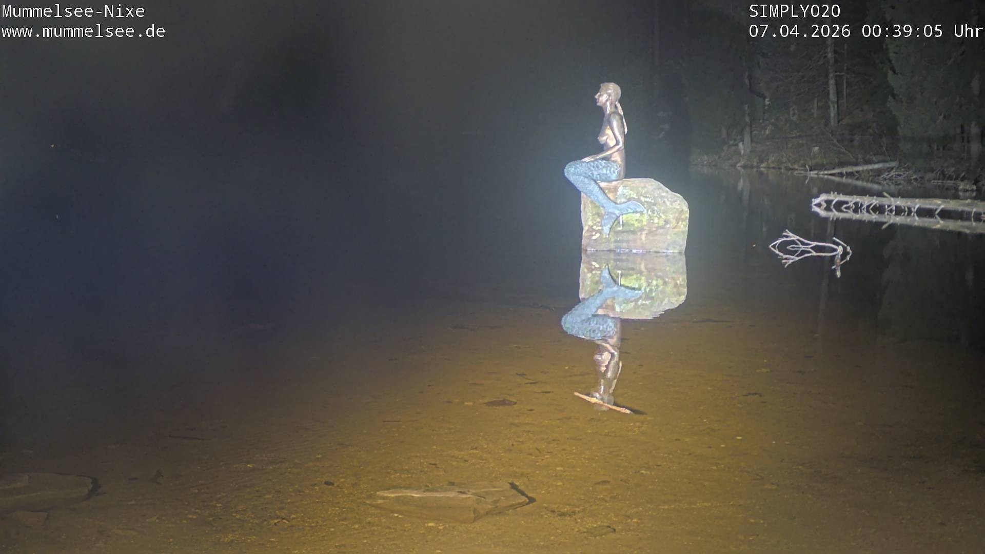 Archiv Foto Webcam Ufer Mummelsee