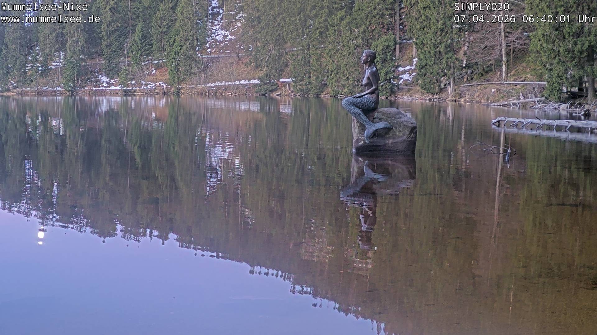 Archiv Foto Webcam Ufer Mummelsee