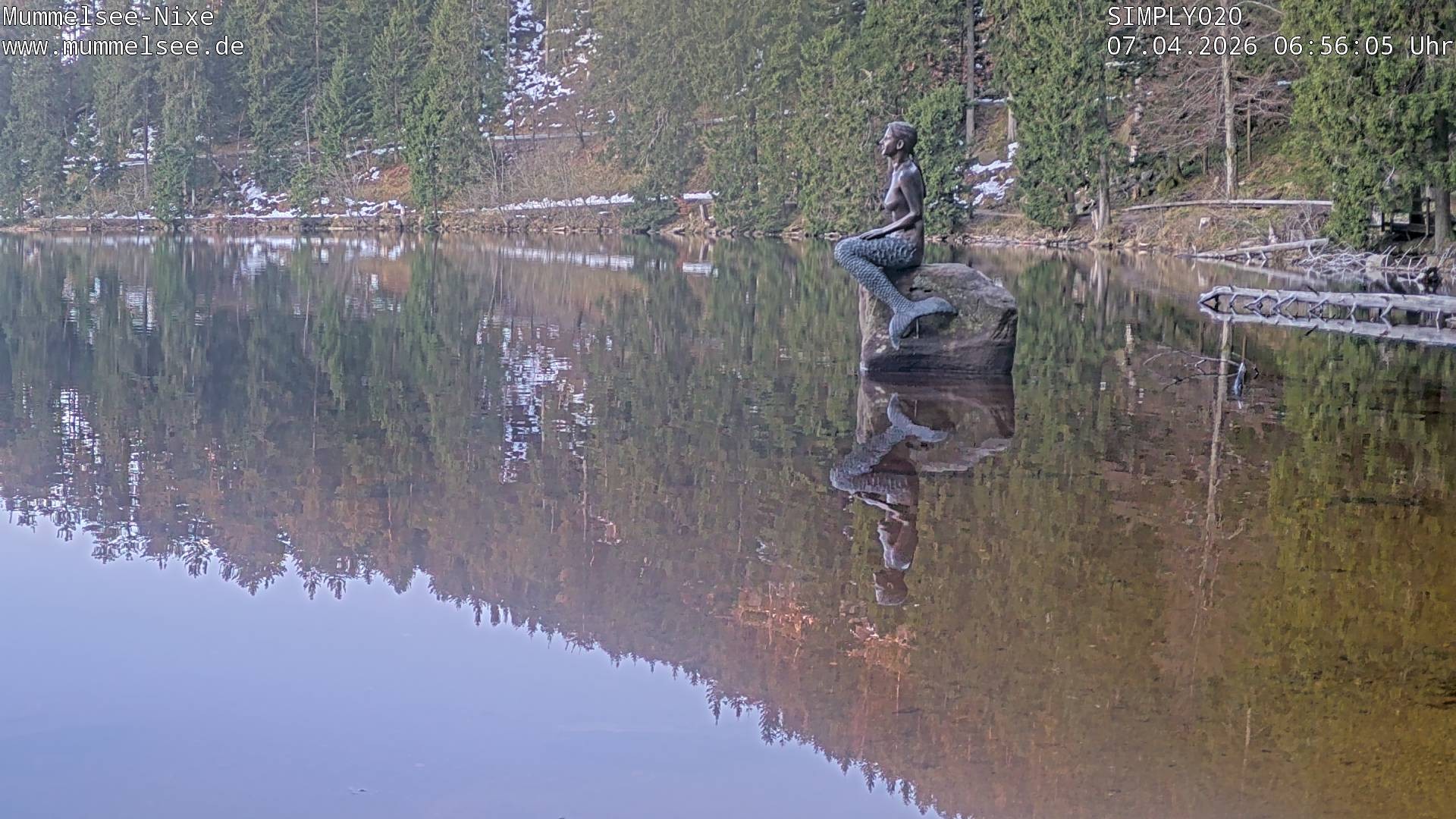 Archiv Foto Webcam Ufer Mummelsee