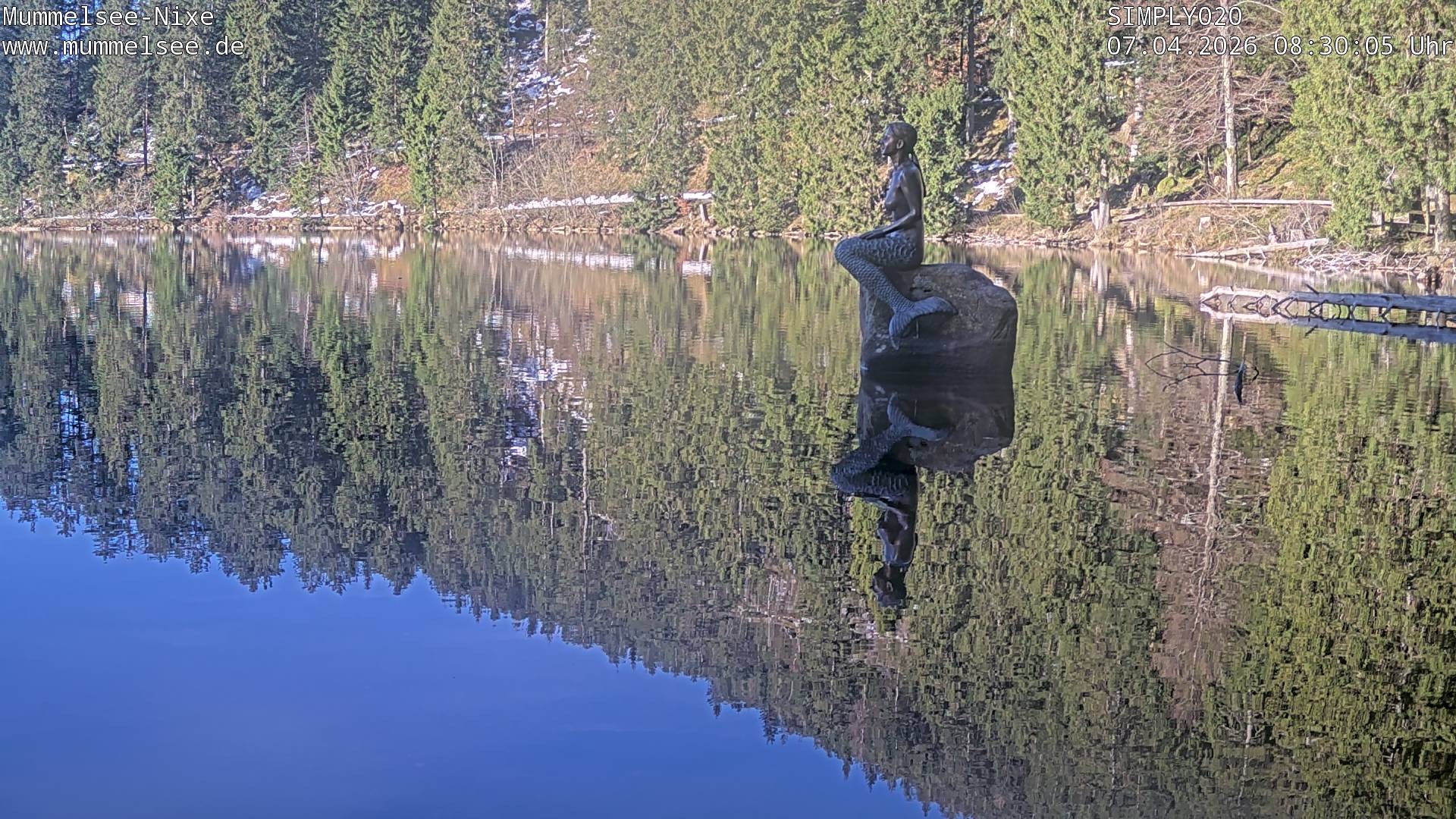 Archiv Foto Webcam Ufer Mummelsee