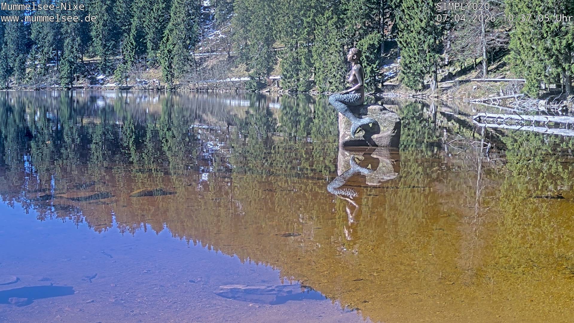 Archiv Foto Webcam Ufer Mummelsee