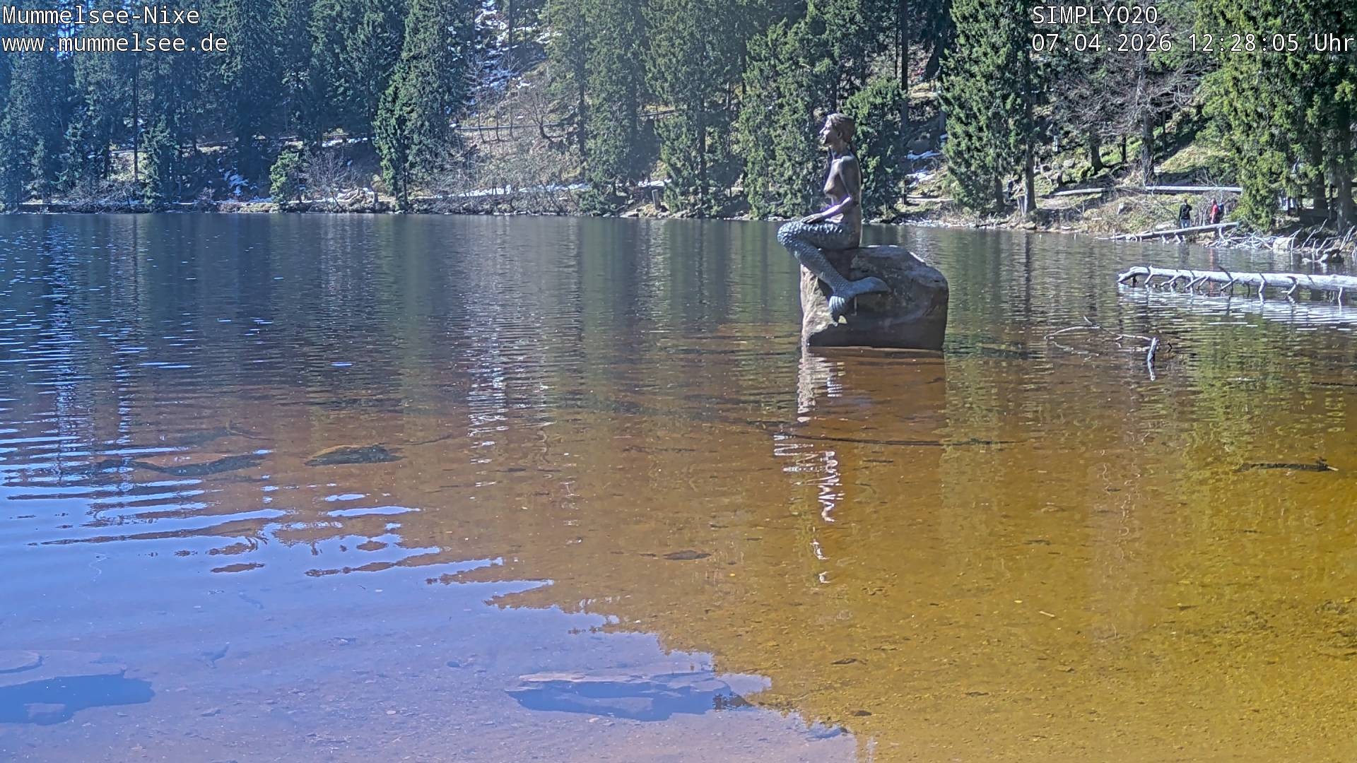 Archiv Foto Webcam Ufer Mummelsee