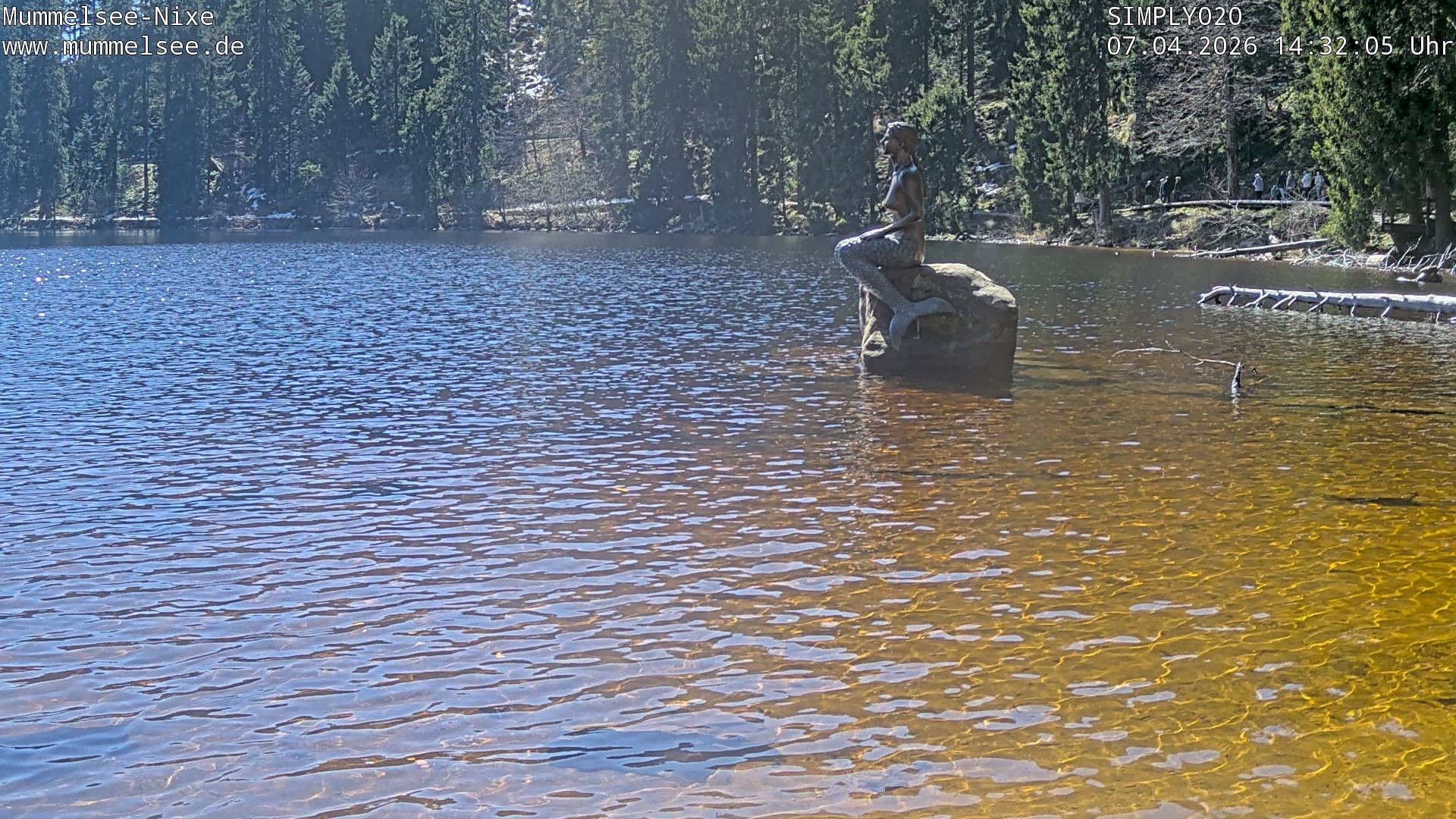 Archiv Foto Webcam Ufer Mummelsee