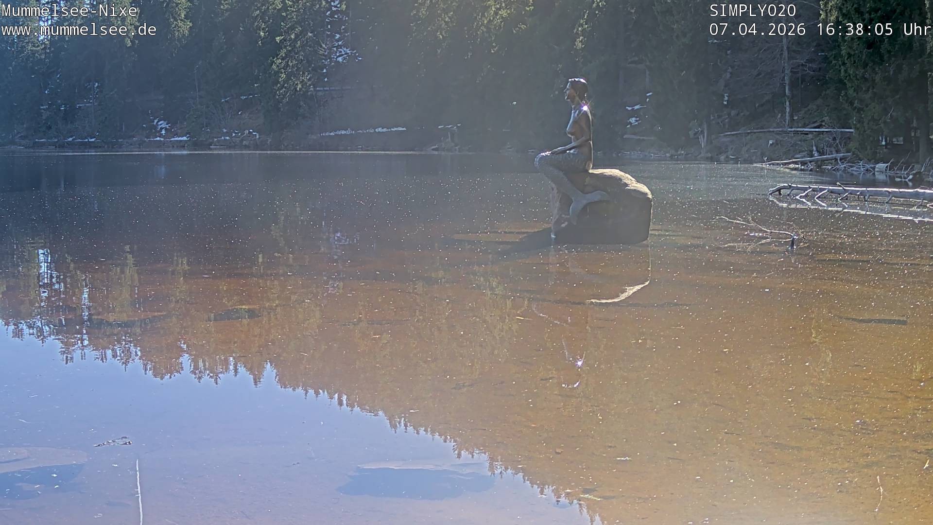 Archiv Foto Webcam Ufer Mummelsee