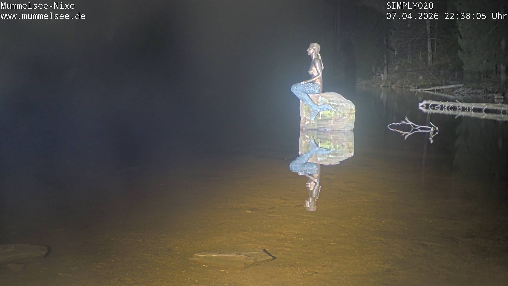 Archiv Foto Webcam Ufer Mummelsee