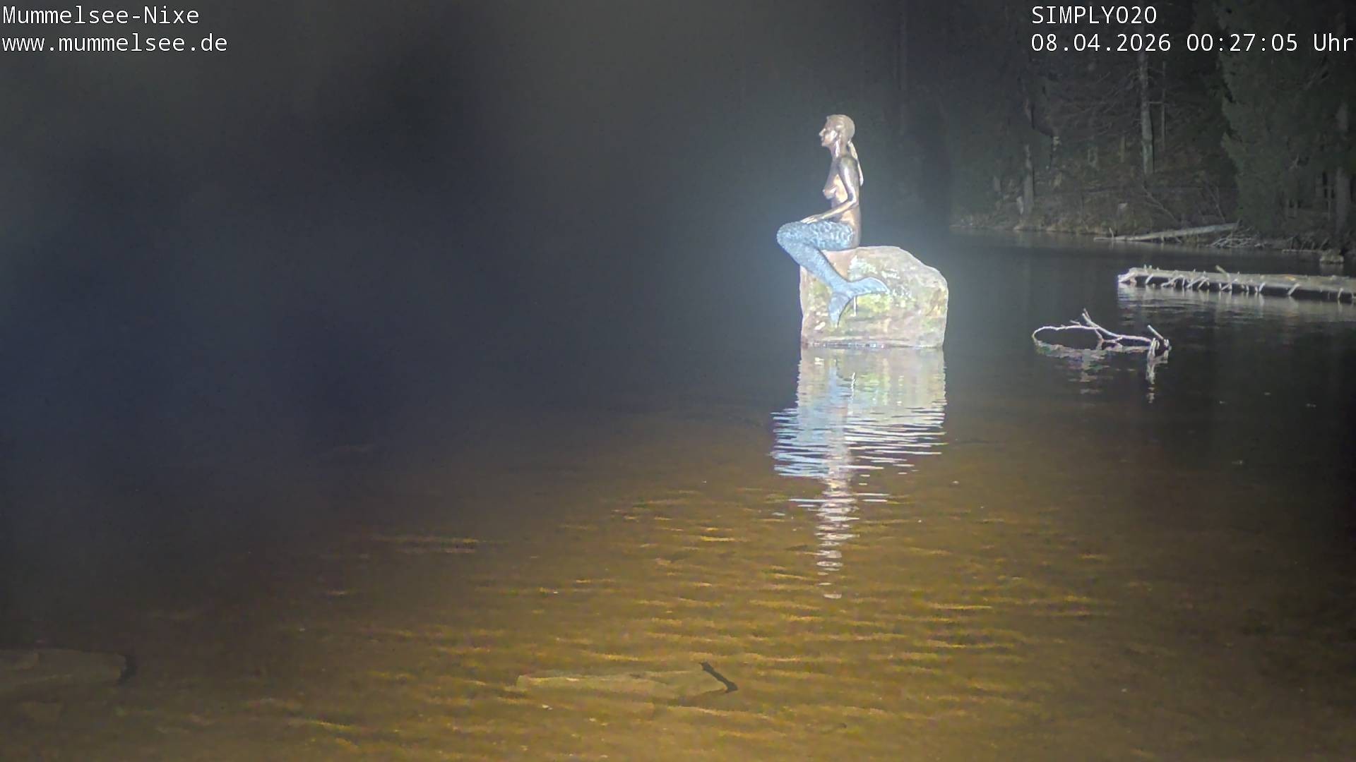 Archiv Foto Webcam Ufer Mummelsee