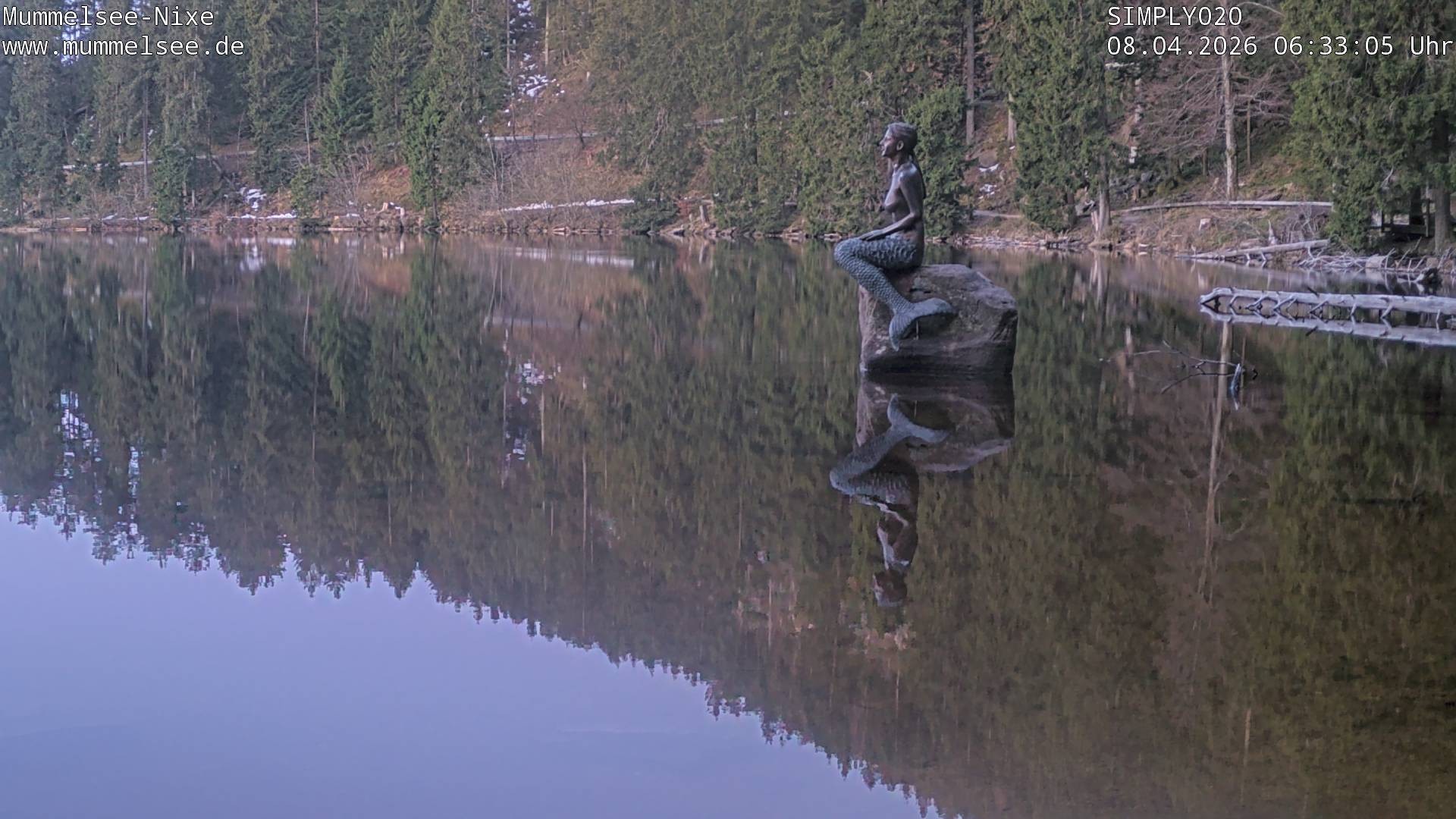 Archiv Foto Webcam Ufer Mummelsee