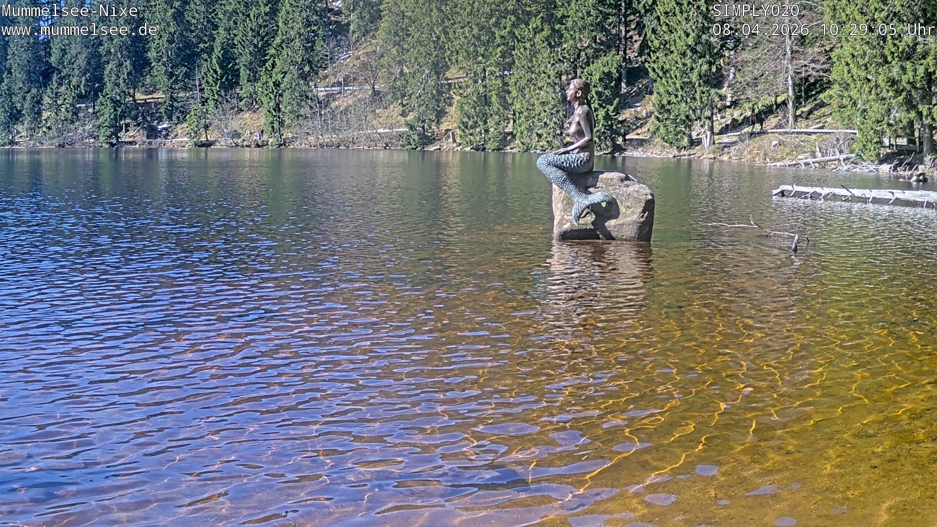 Archiv Foto Webcam Ufer Mummelsee