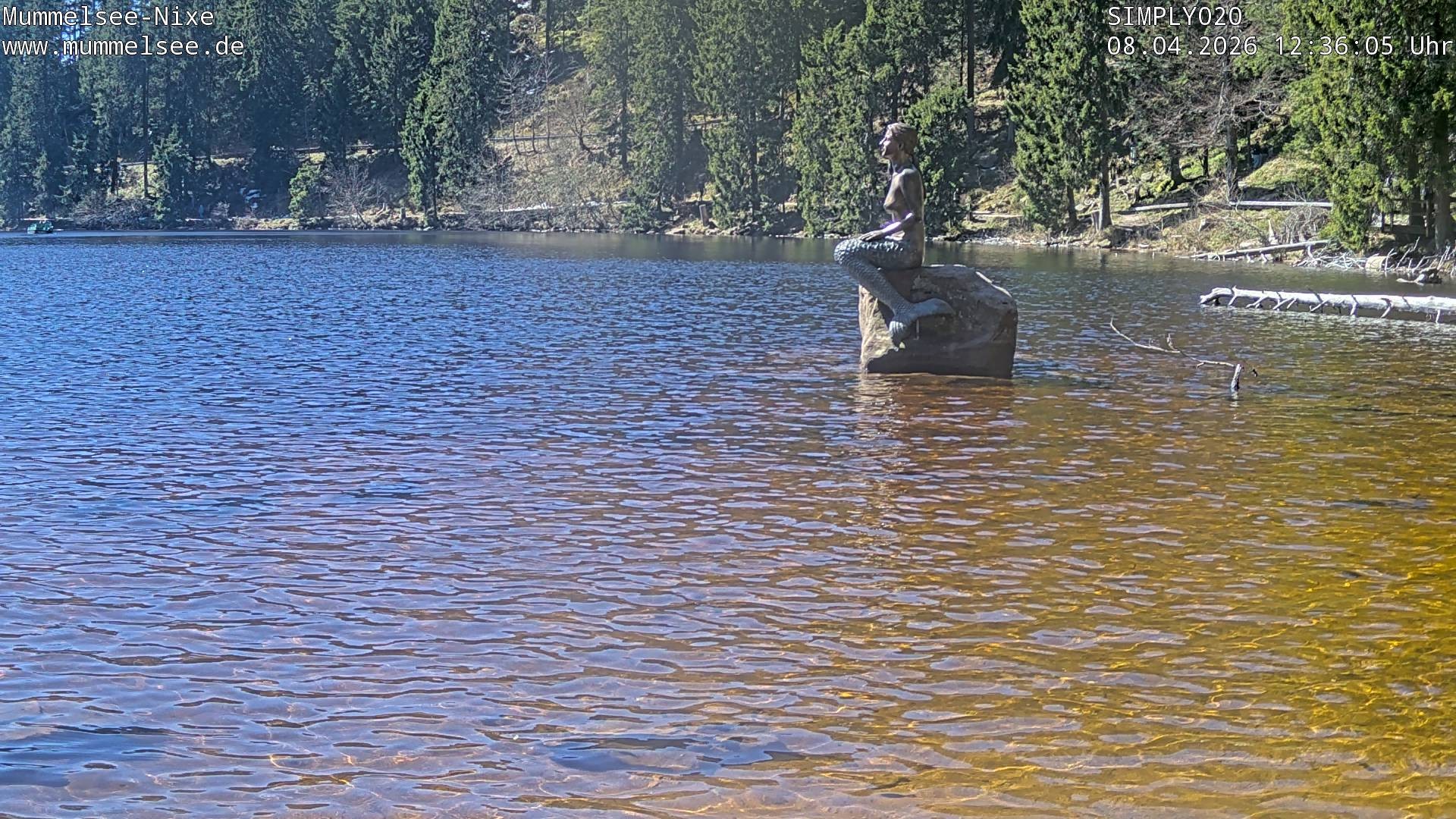 Archiv Foto Webcam Ufer Mummelsee