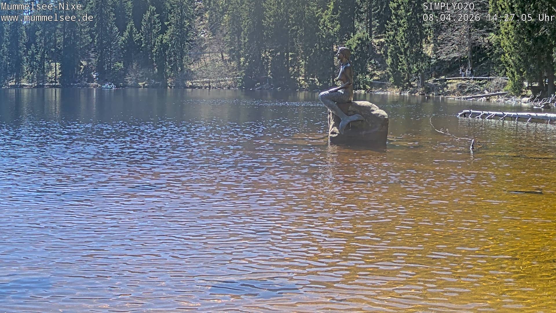 Archiv Foto Webcam Ufer Mummelsee