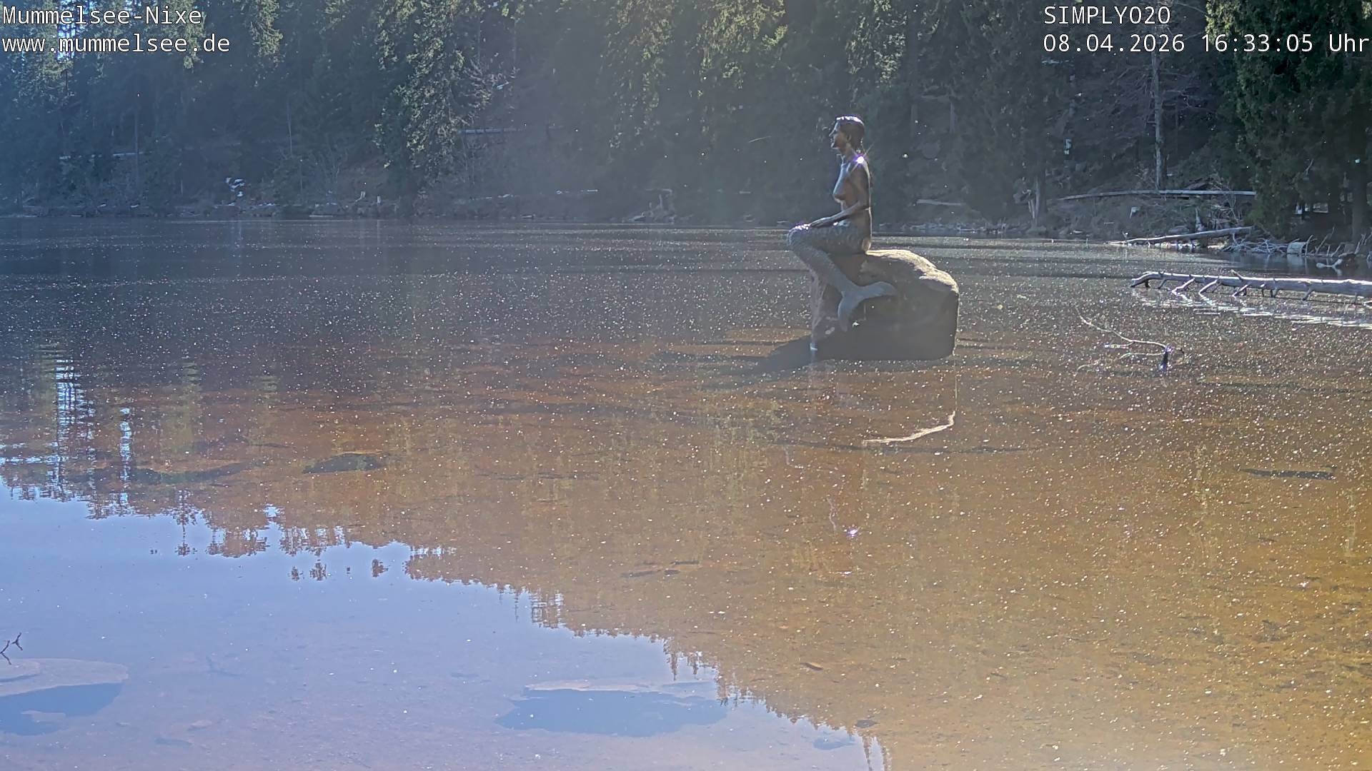 Archiv Foto Webcam Ufer Mummelsee