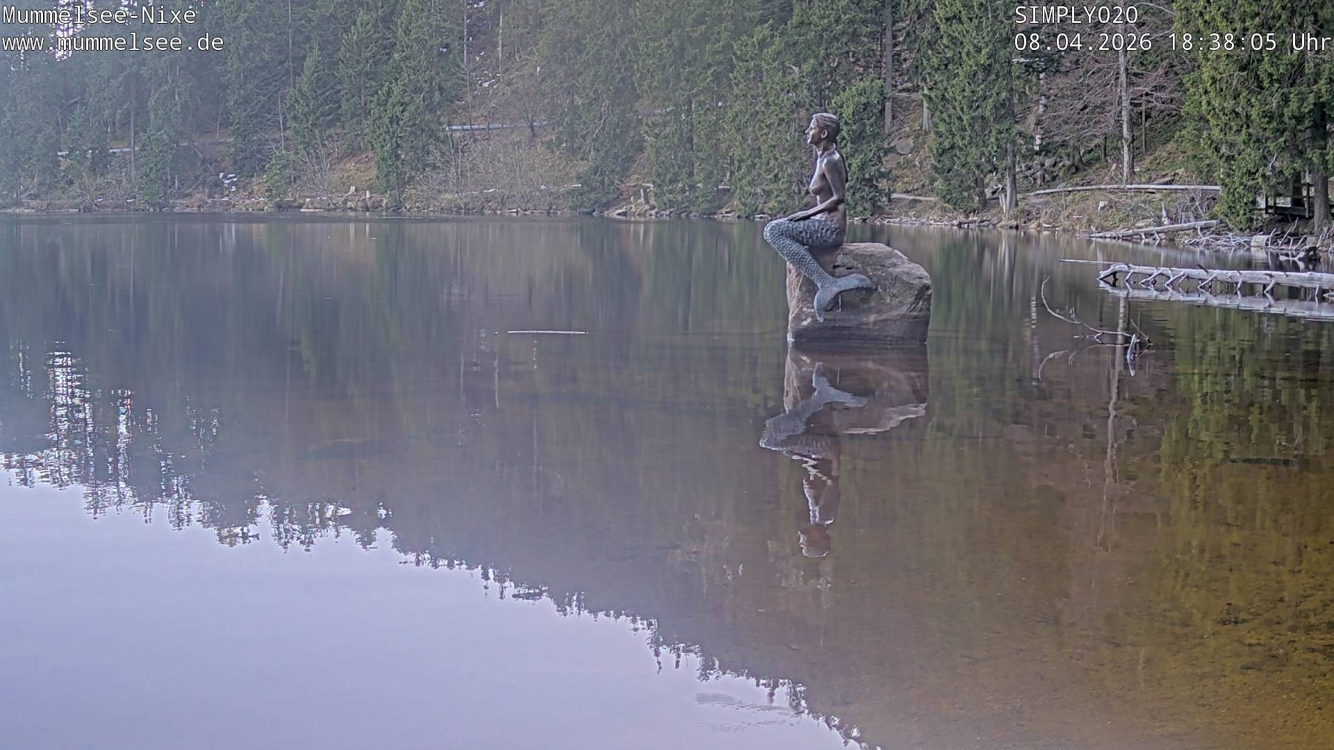 Archiv Foto Webcam Ufer Mummelsee