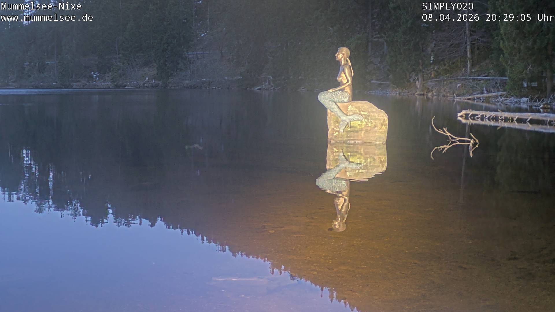 Archiv Foto Webcam Ufer Mummelsee