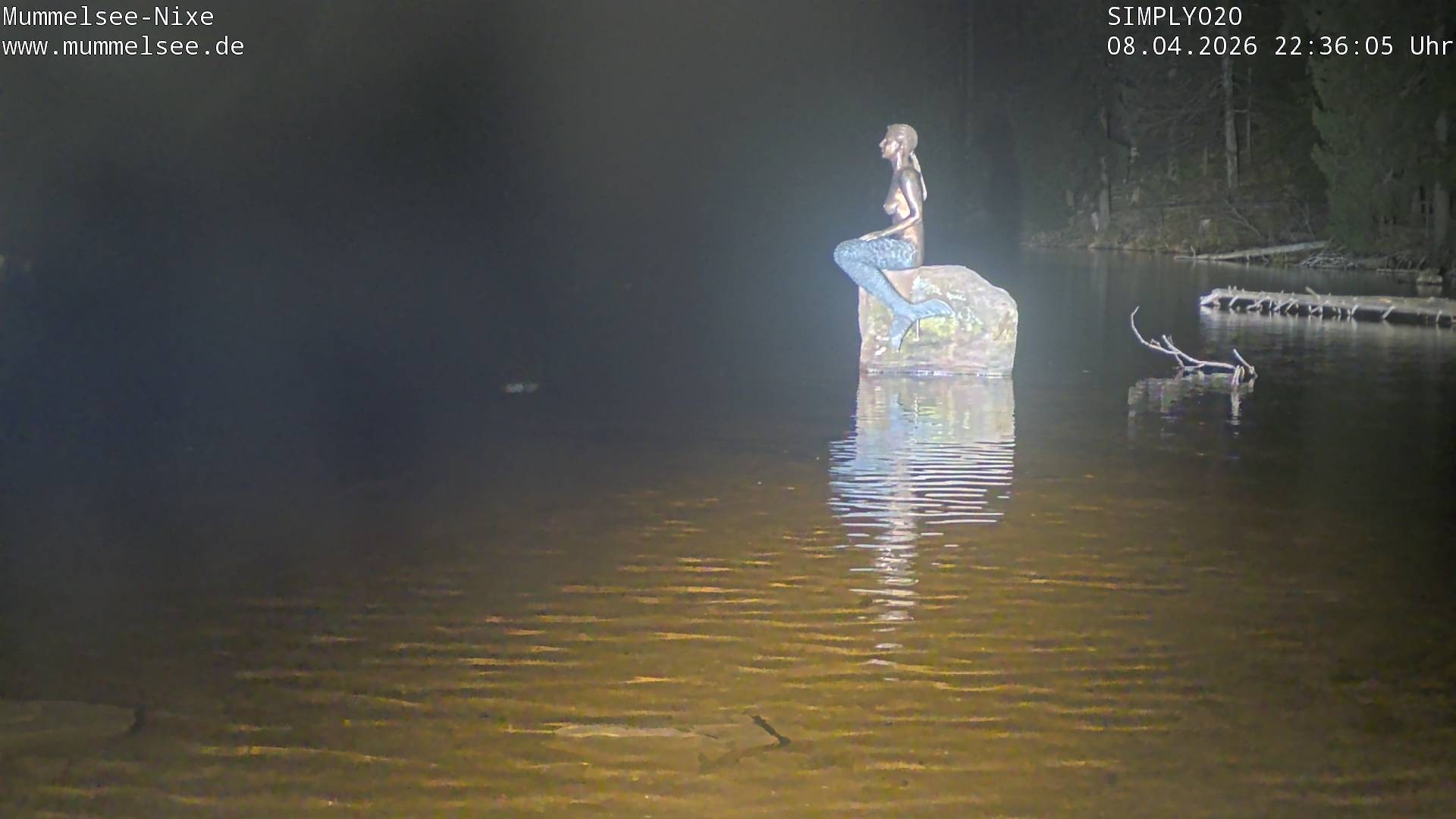 Archiv Foto Webcam Ufer Mummelsee