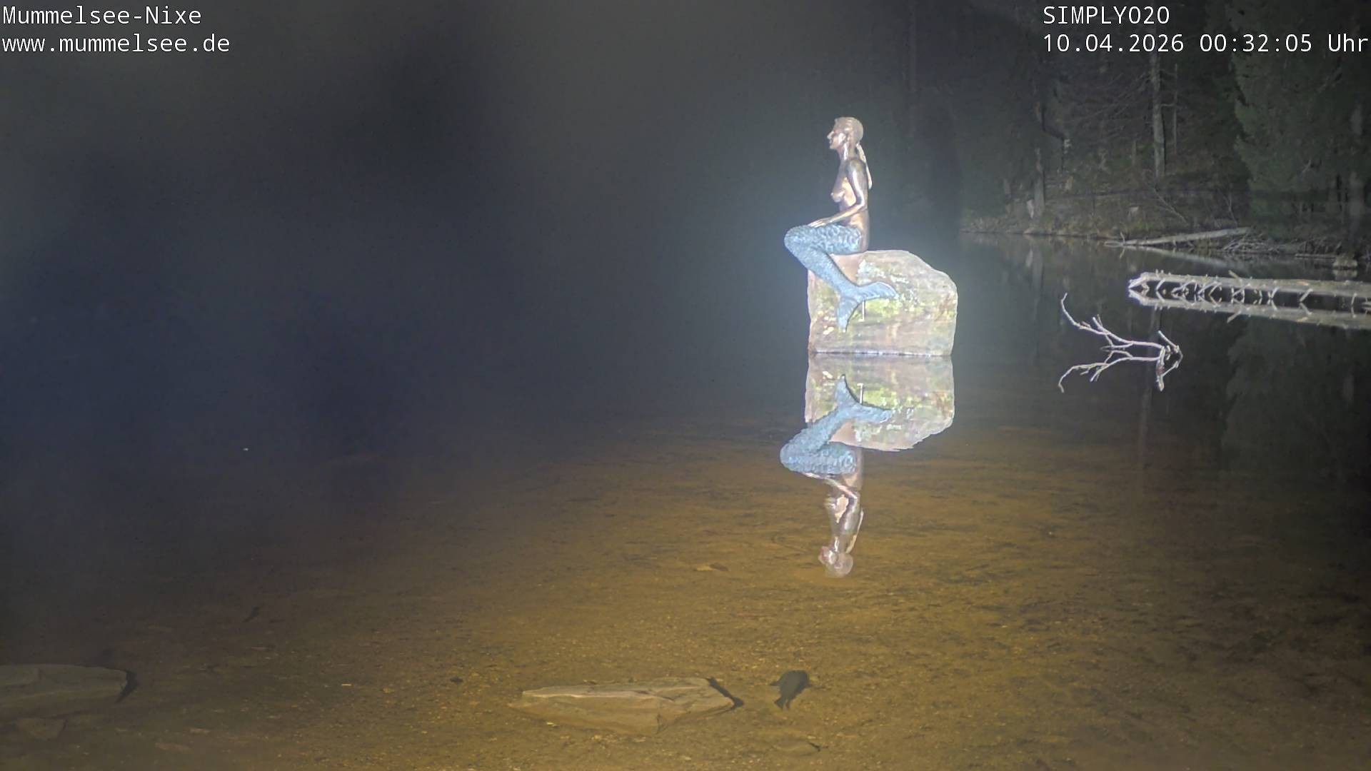 Archiv Foto Webcam Ufer Mummelsee