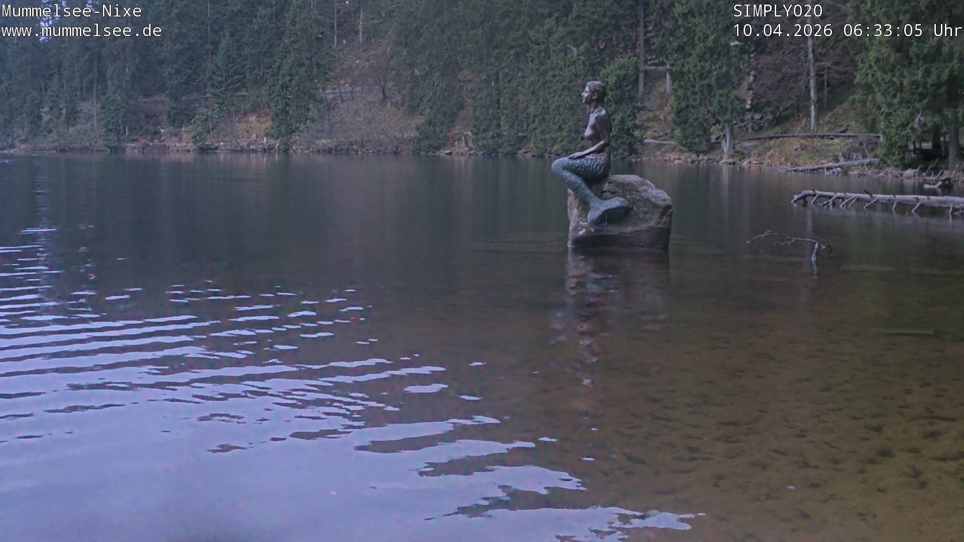 Archiv Foto Webcam Ufer Mummelsee