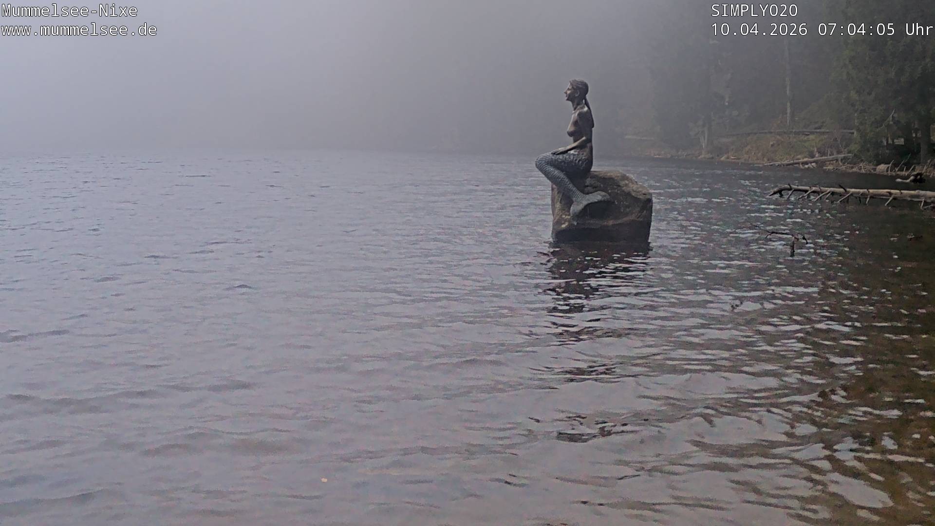 Archiv Foto Webcam Ufer Mummelsee