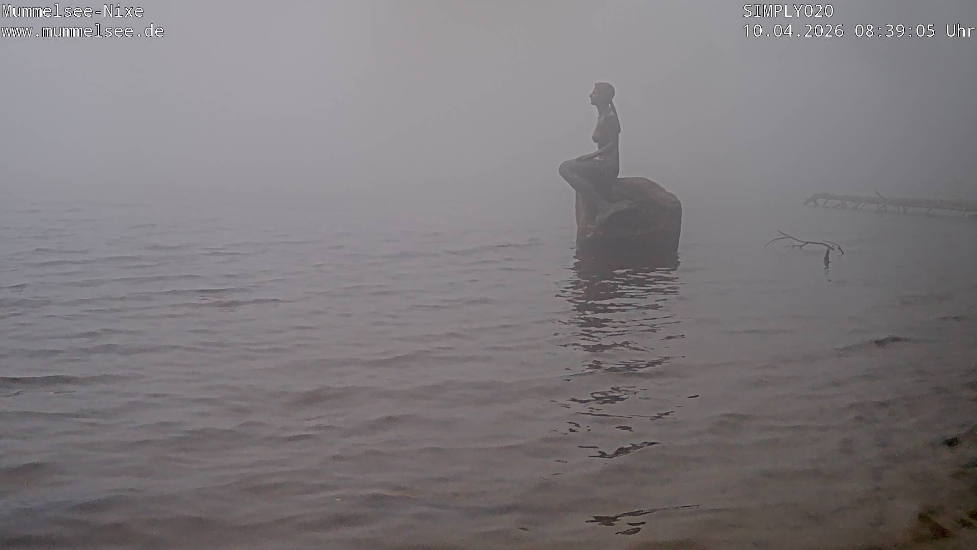 Archiv Foto Webcam Ufer Mummelsee