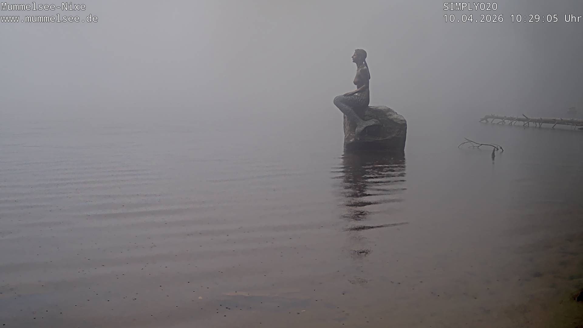 Archiv Foto Webcam Ufer Mummelsee