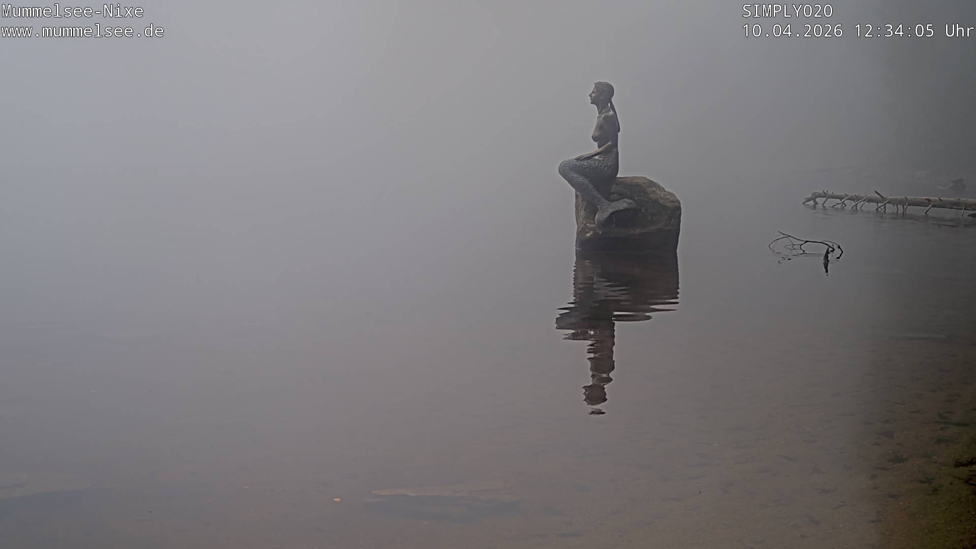 Archiv Foto Webcam Ufer Mummelsee