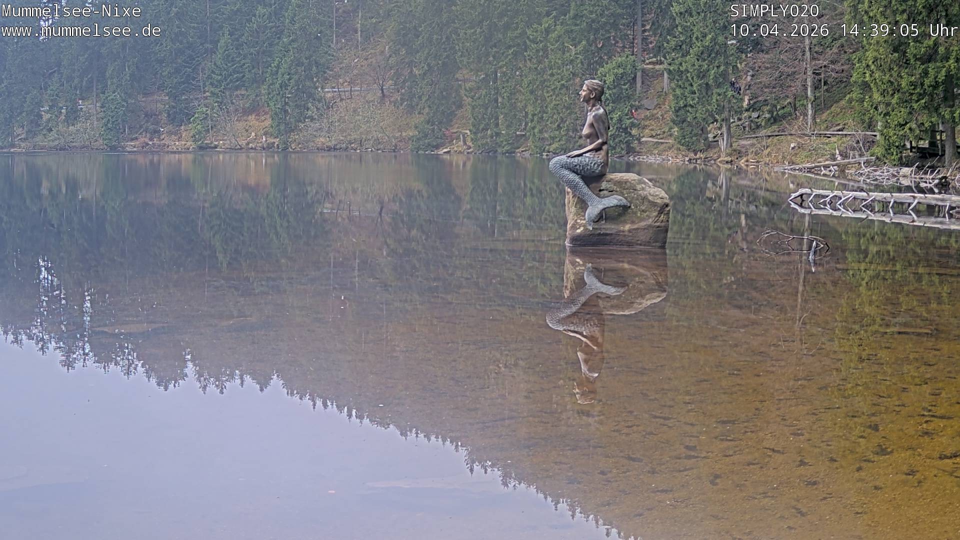 Archiv Foto Webcam Ufer Mummelsee