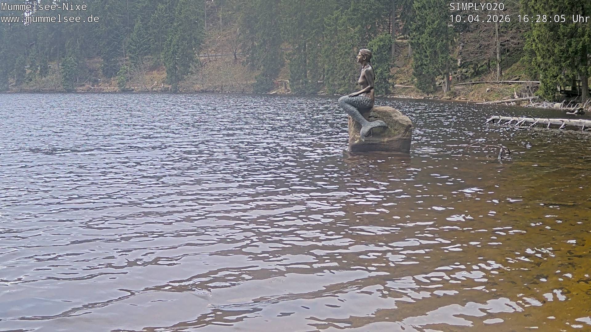 Archived image Webcam Lake Mummelsee - Black Forest