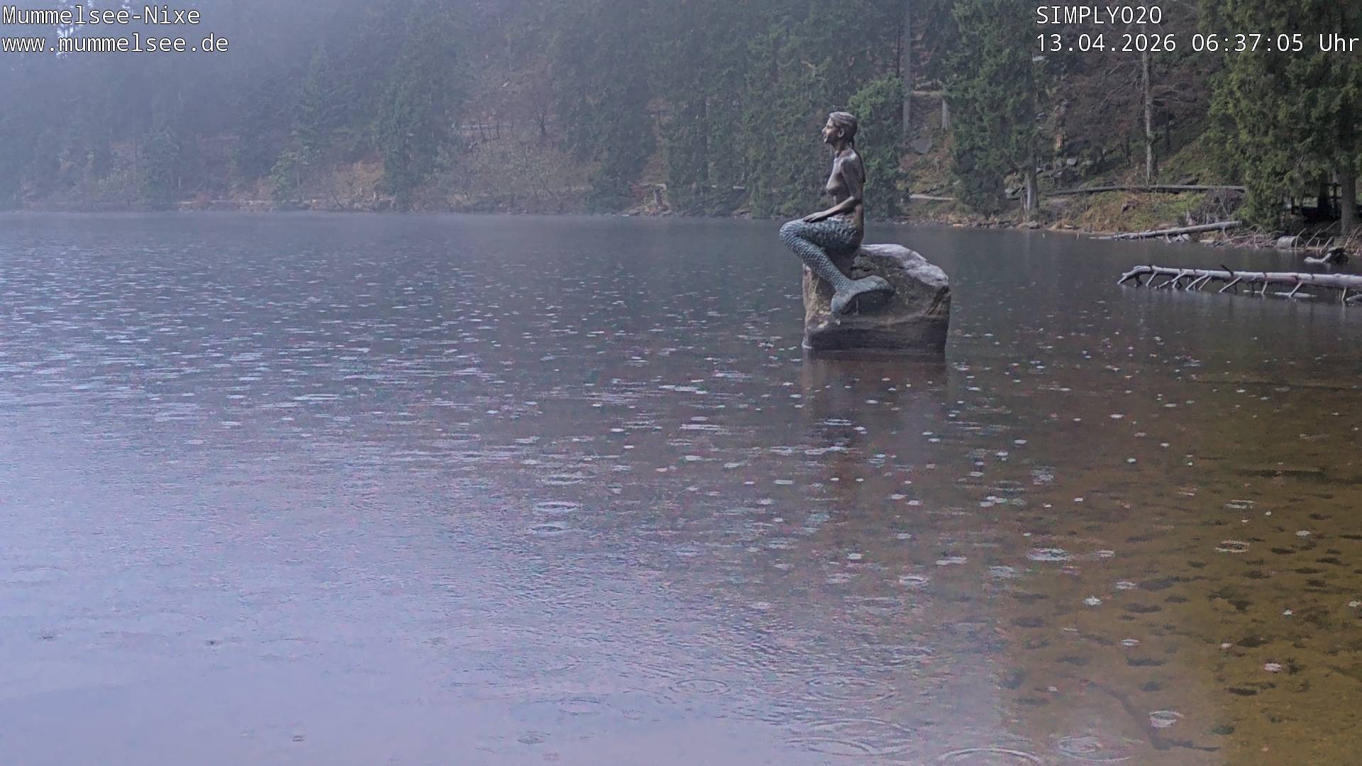 Archiv Foto Webcam Ufer Mummelsee