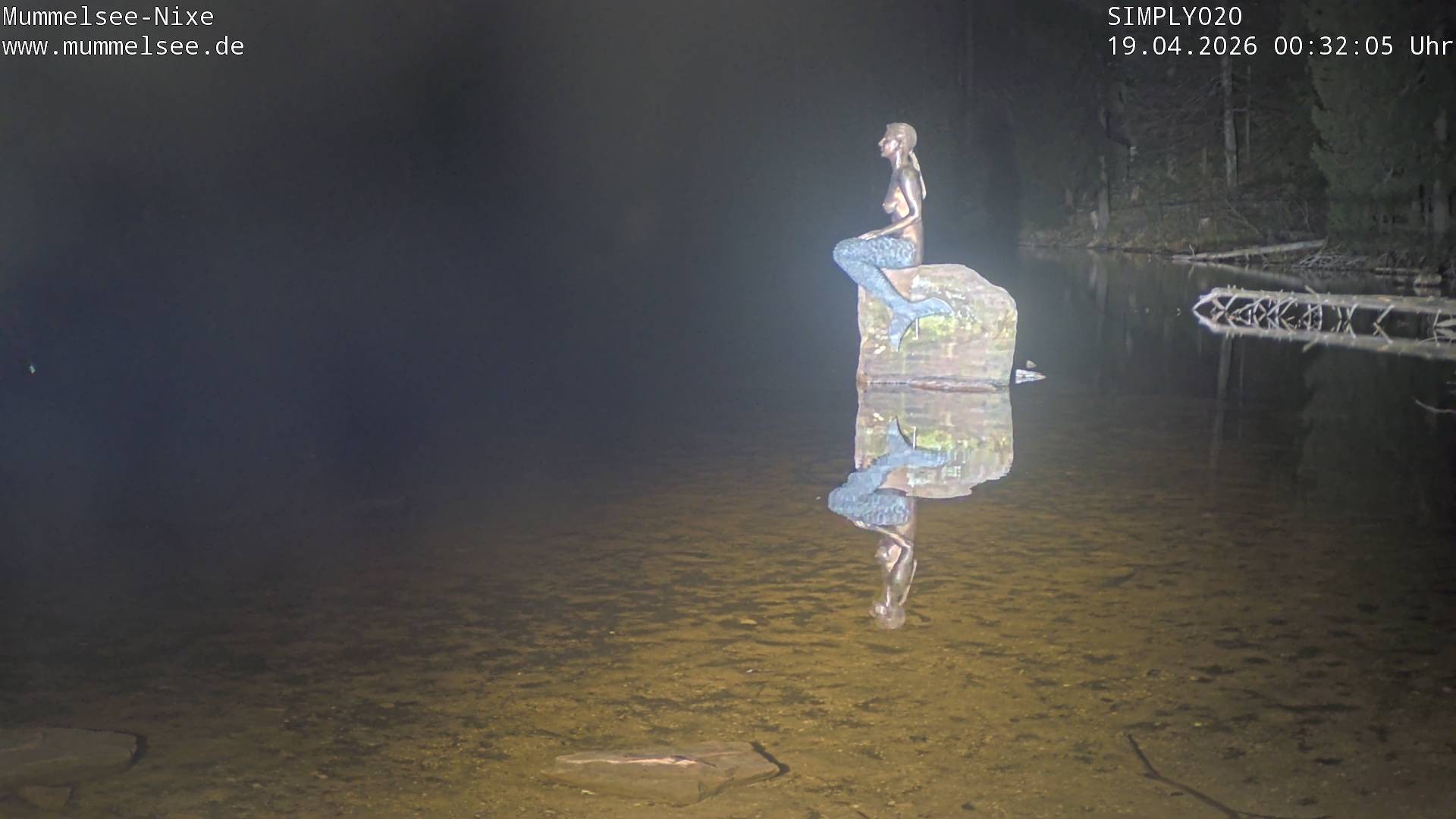 Archived image Webcam Lake Mummelsee - Black Forest