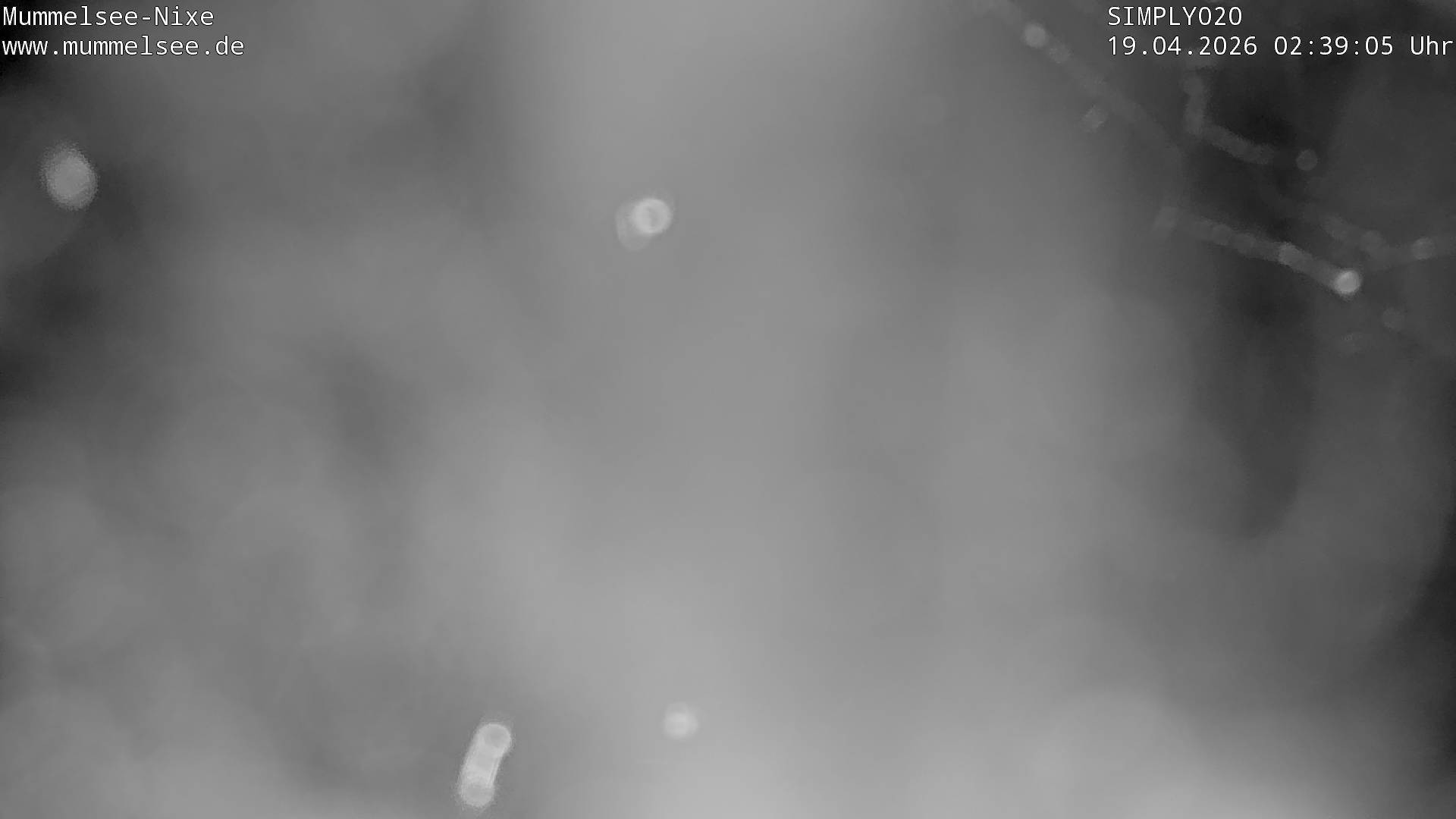 Archived image Webcam Lake Mummelsee - Black Forest