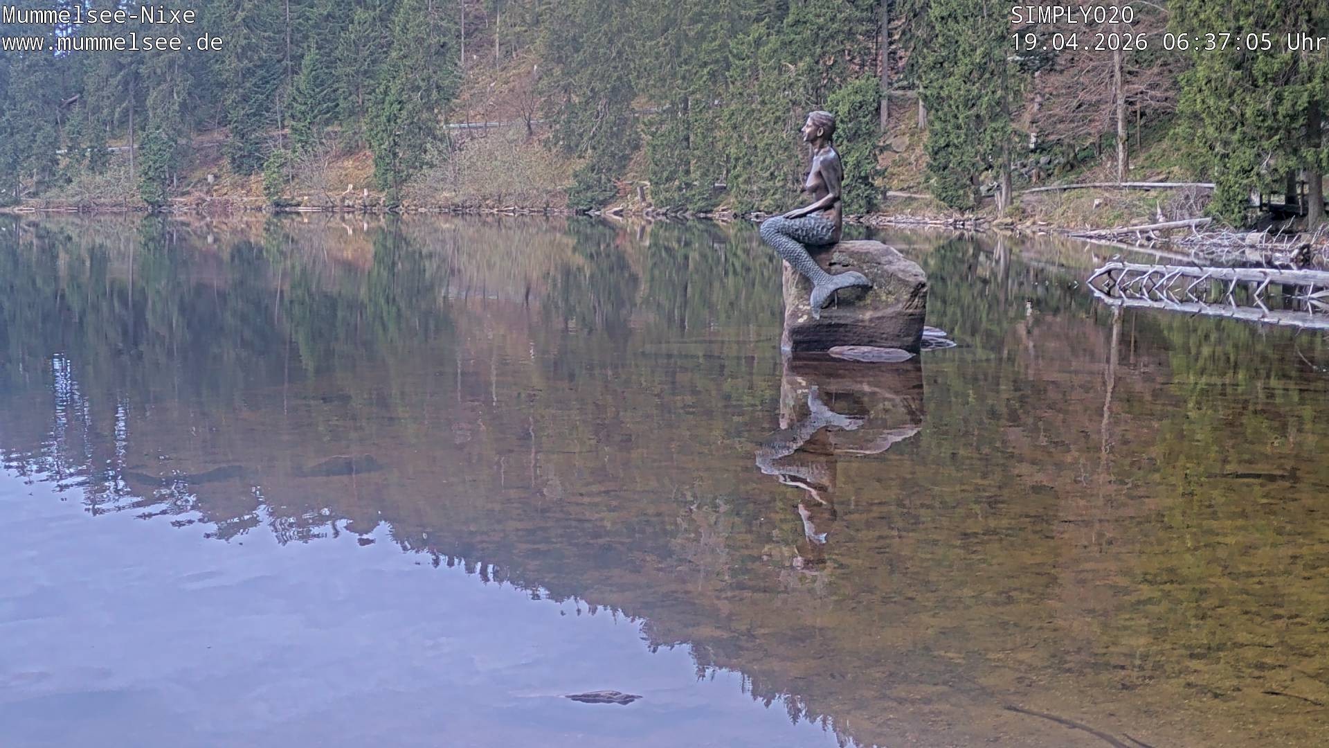 Archived image Webcam Lake Mummelsee - Black Forest