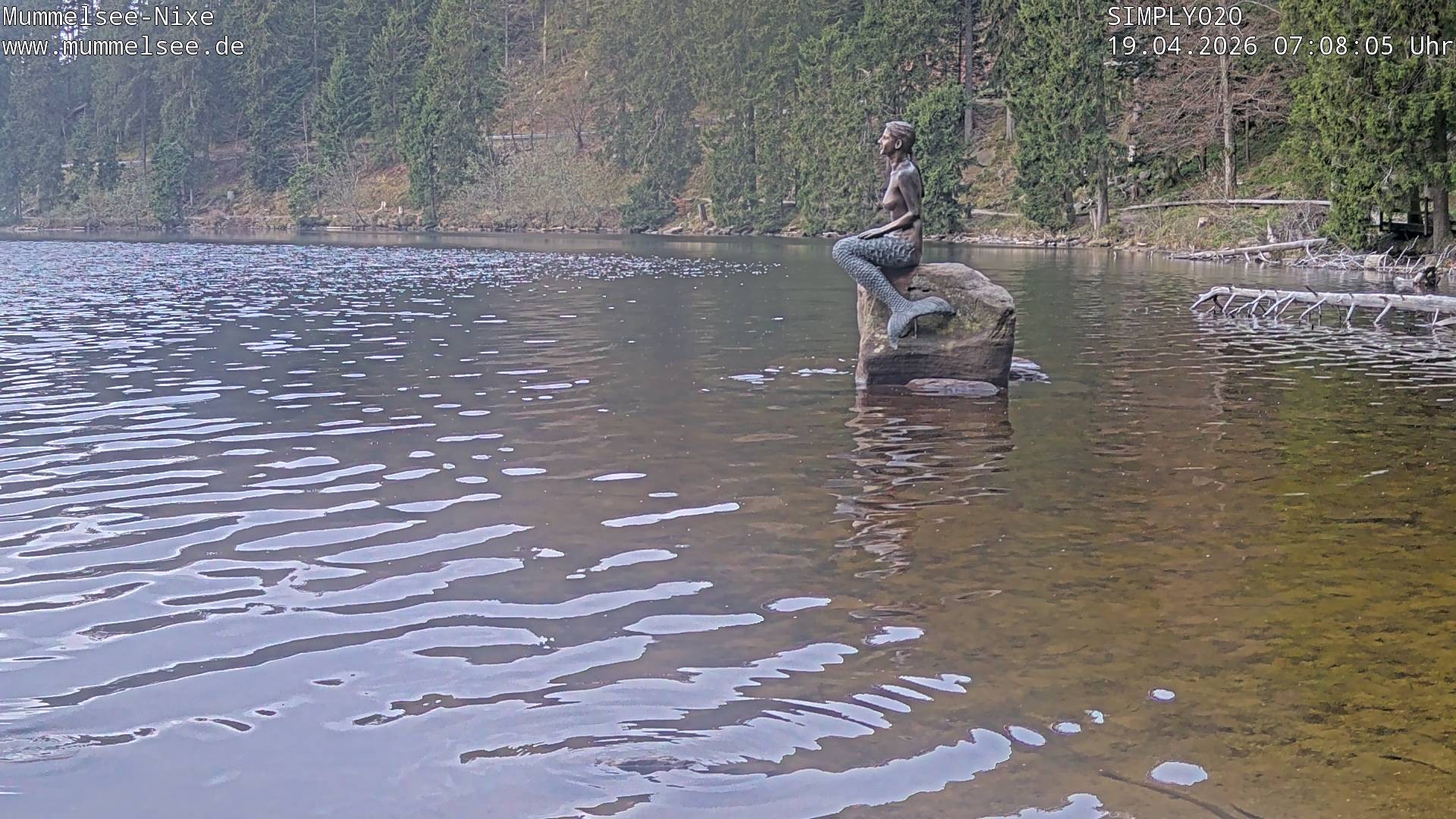 Archived image Webcam Lake Mummelsee - Black Forest