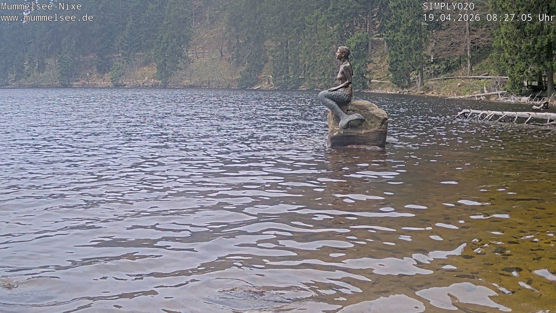 Archived image Webcam Lake Mummelsee - Black Forest